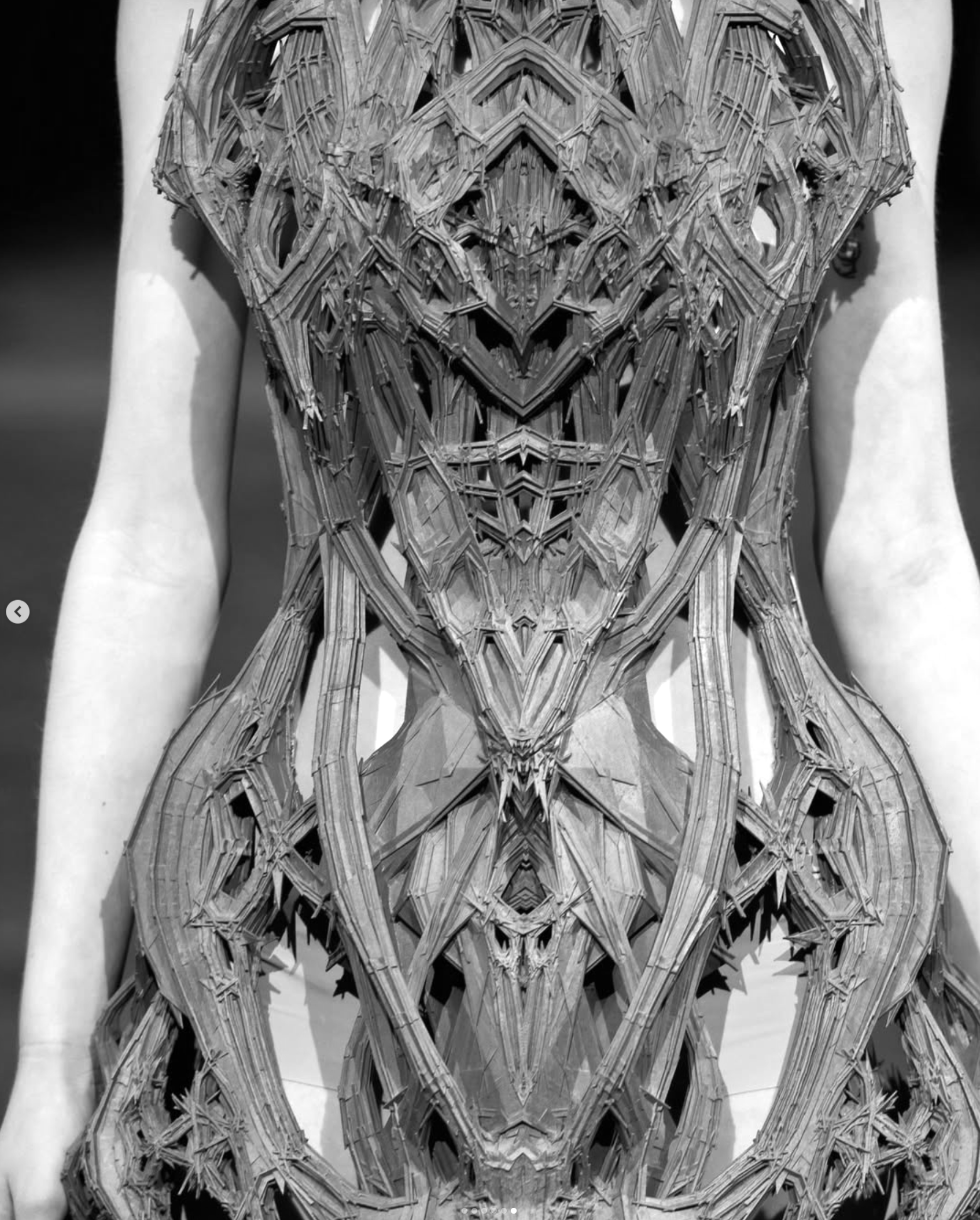 Cathedral dress from the 2012 Haute Couture collection "Micro"