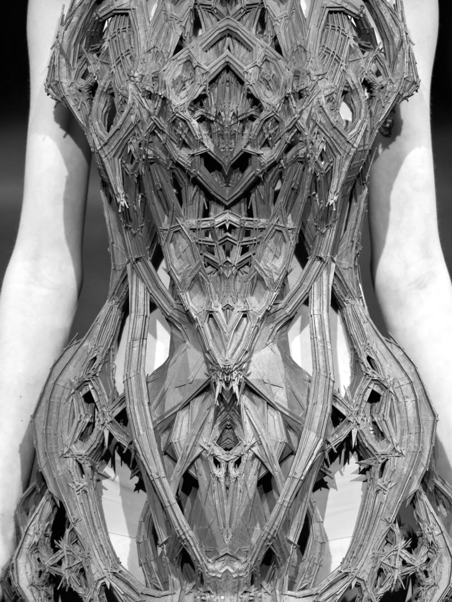Cathedral dress from the 2012 Haute Couture collection "Micro"