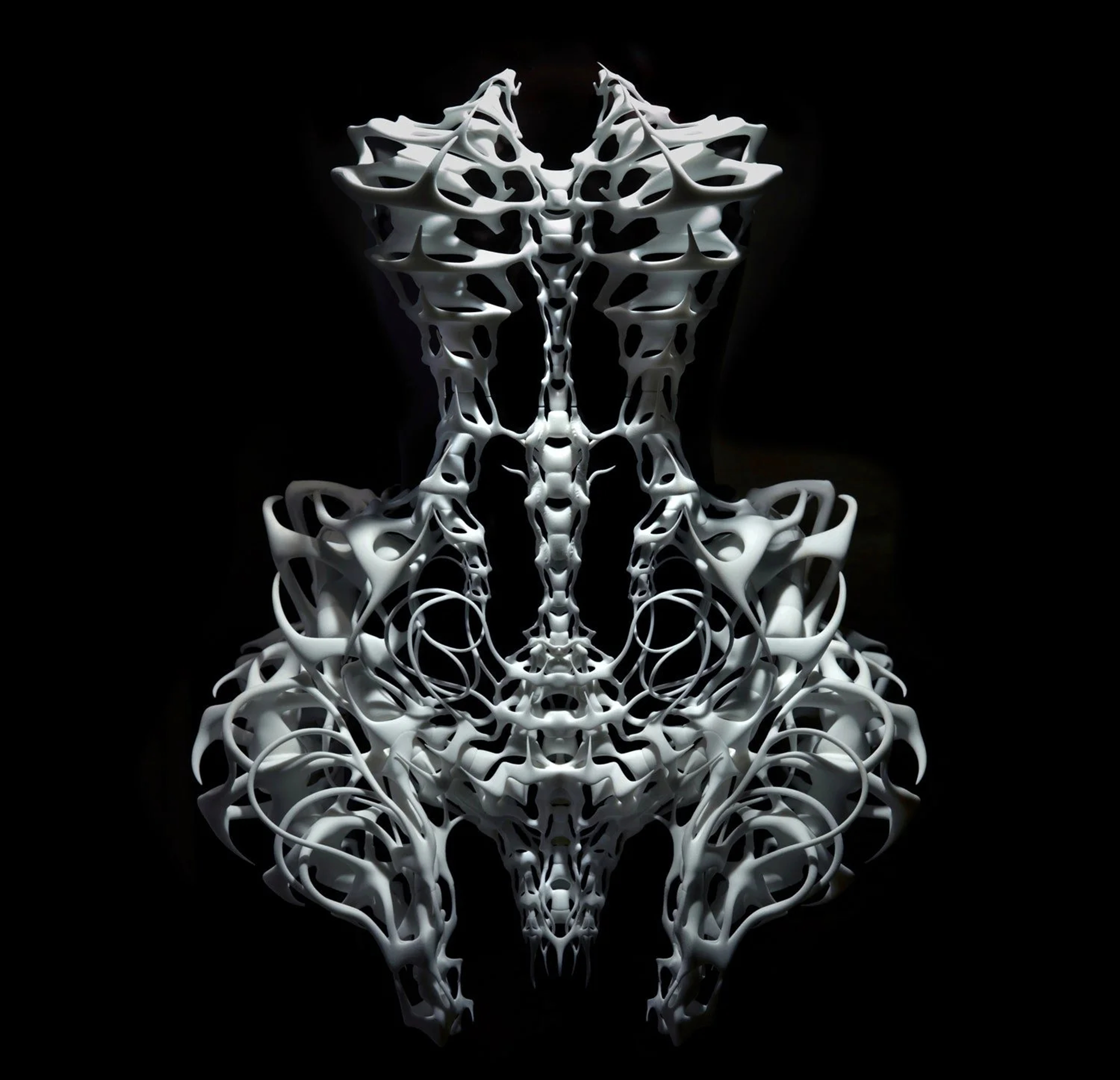 The Bone dress from SS12 made in collaboration with architect Isaïe Bloch