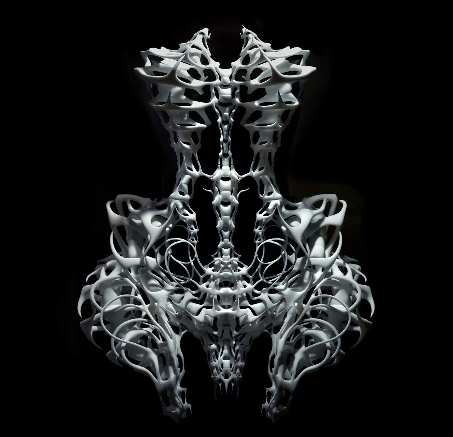 The Bone dress from SS12 made in collaboration with architect Isaïe Bloch