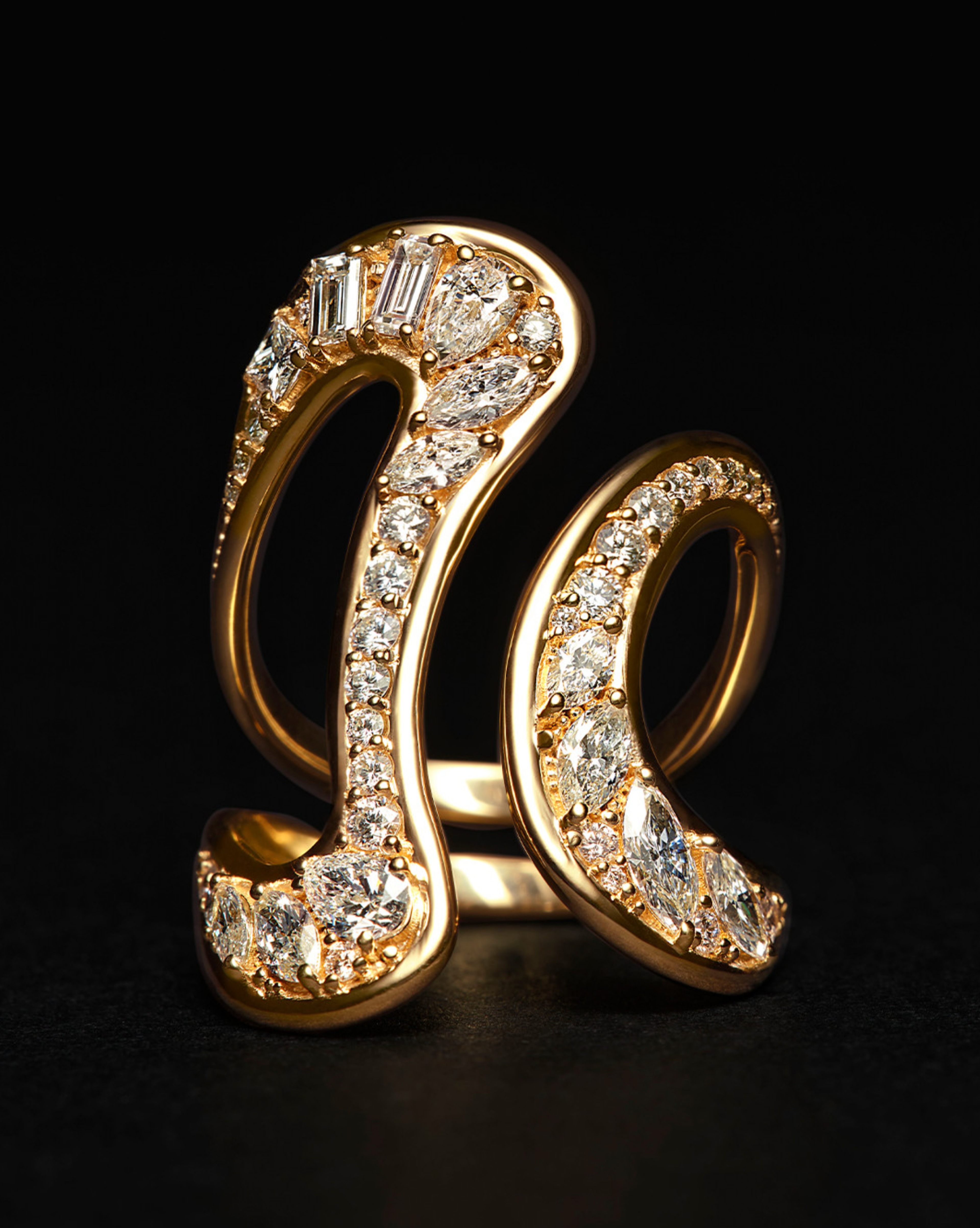THE FREEMAN JOURNAL - ART OF ADORNMENT - FERNANDO JORGE