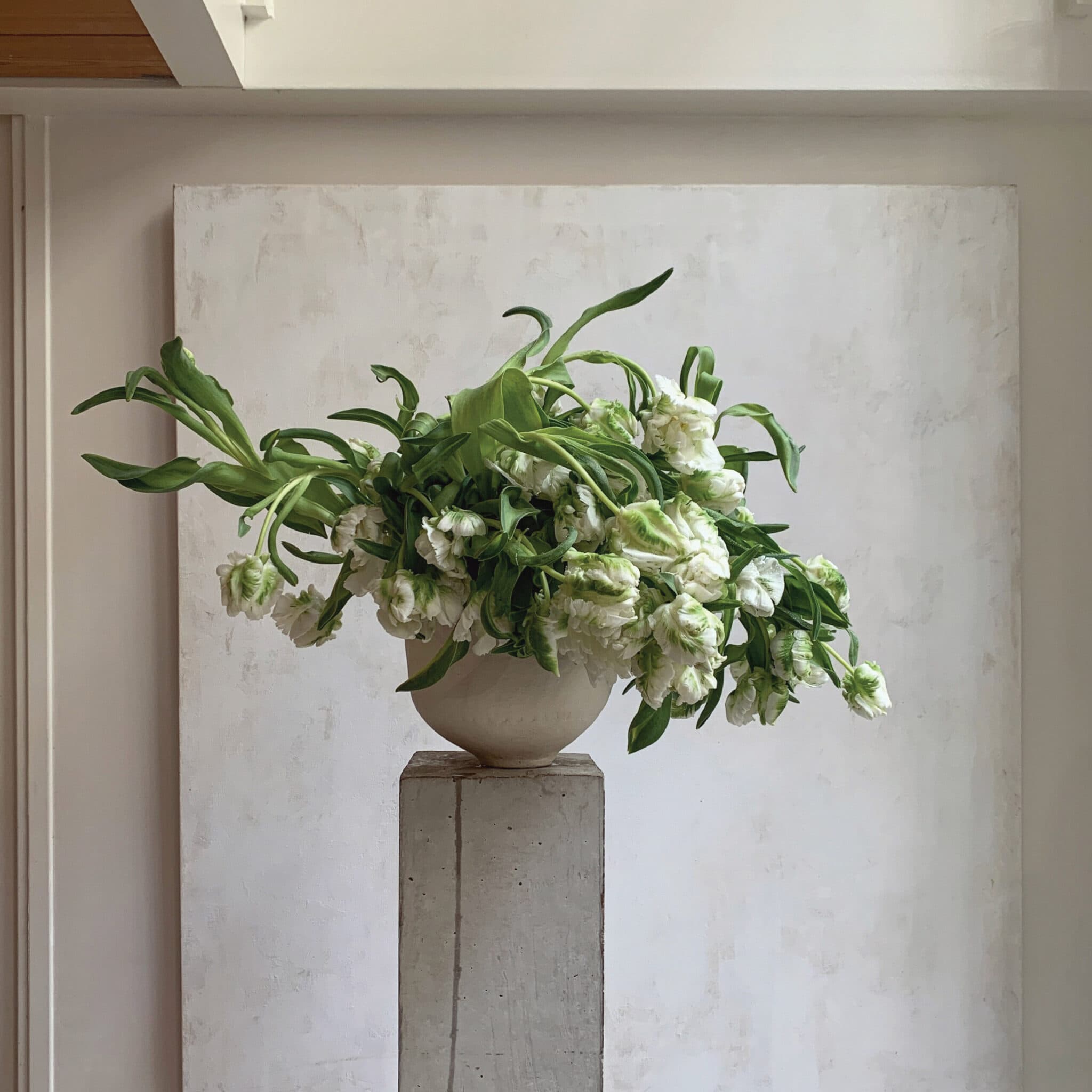 An arrangement of Super Parrot Lillies by Dr Cooper