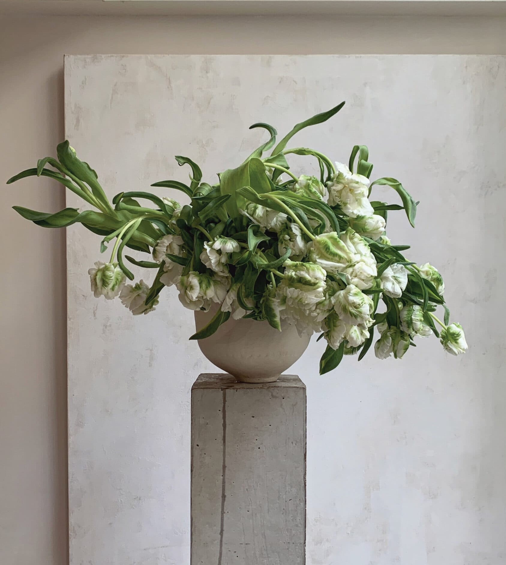 An arrangement of Super Parrot Lillies by Dr Cooper