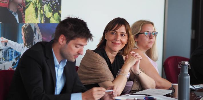 Kreativní průmysly v Evropském parlamentu: Češi inspirovali Evropu