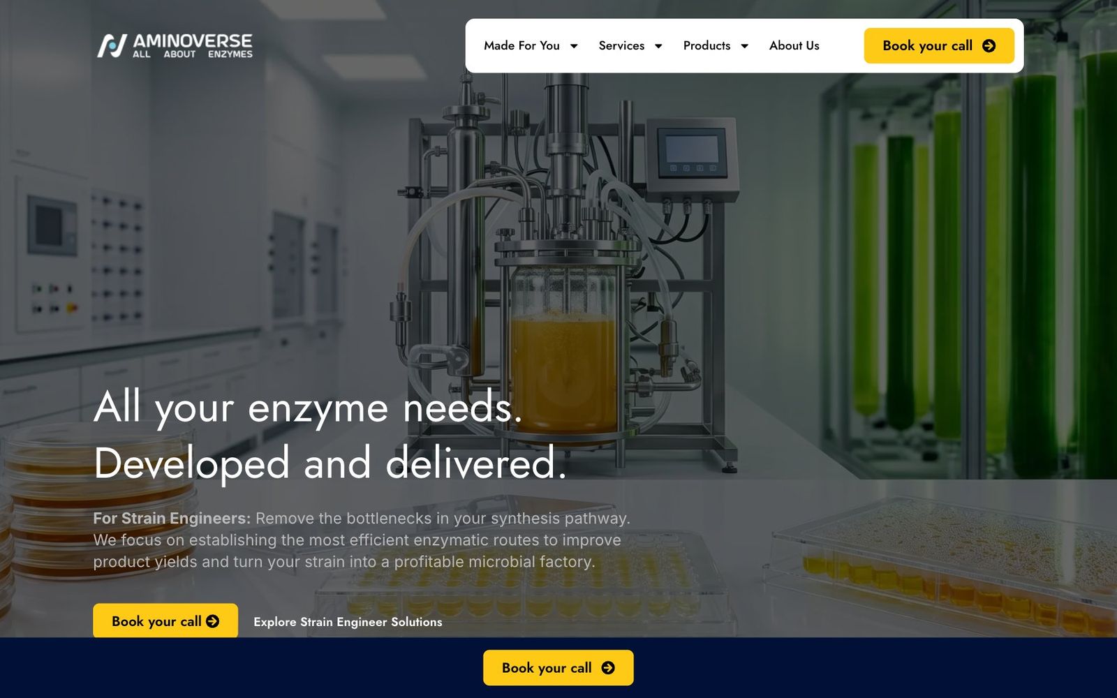 Aminoverse website, section 1