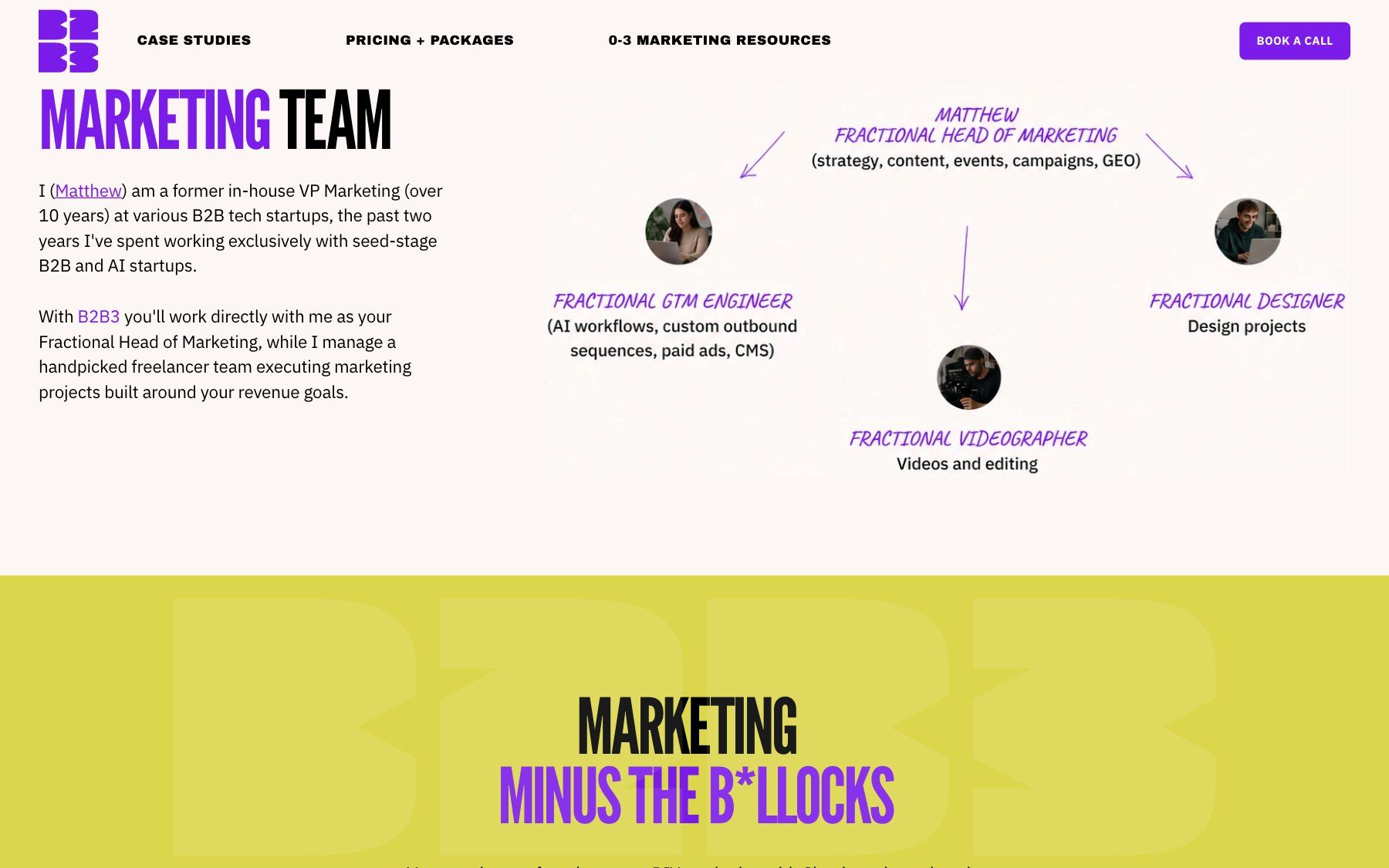 B2B3 website, section 2