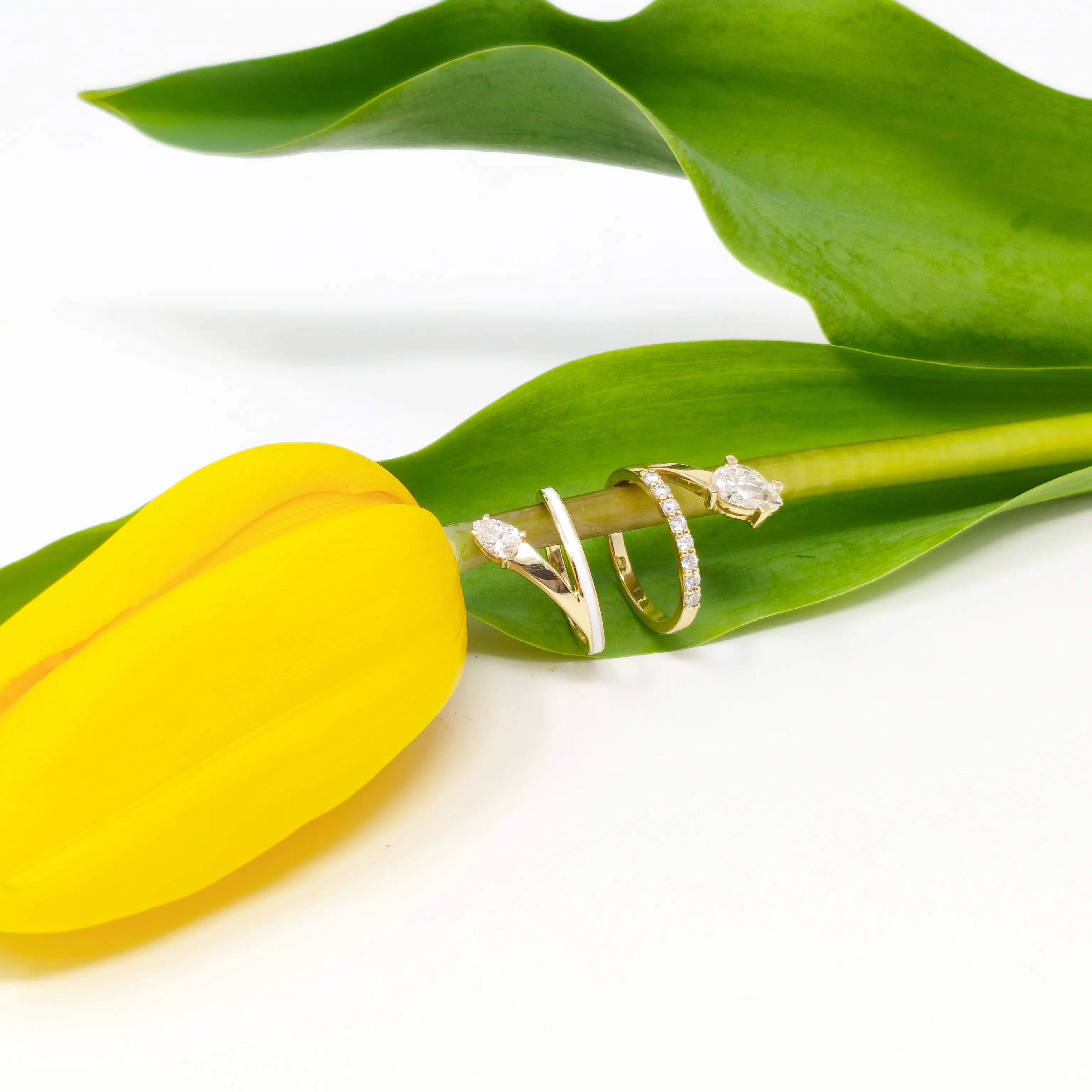 Lotus & Iris Stackable Rings Set cover image