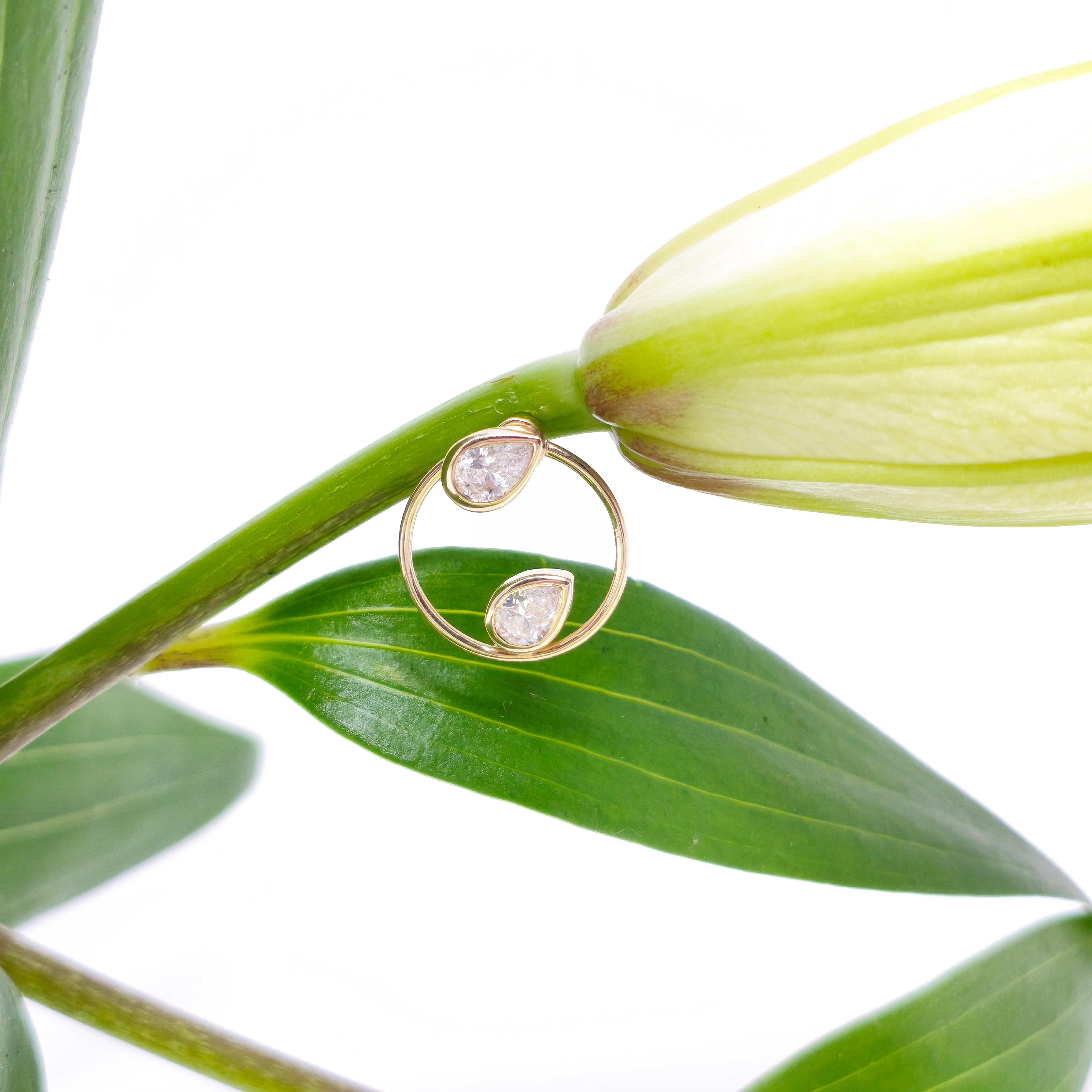 Eden Seed Stud & Dahlia Charm (One Piece) image