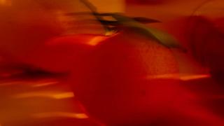 A blurred orange with stems streak across a vibrant orange background