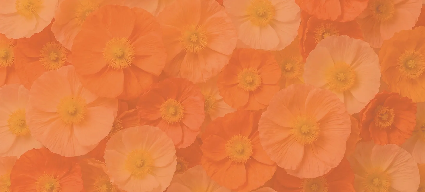 Floral background