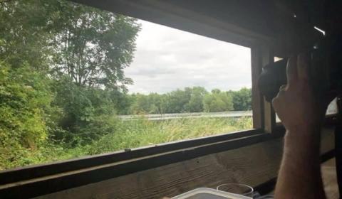 Bird Hide 