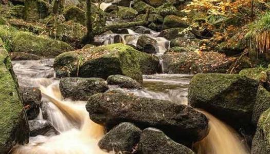 5. Padley Gorge, Peak District