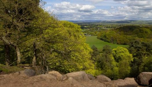 8. Bickerton Hills and Sandstone, Cheshire