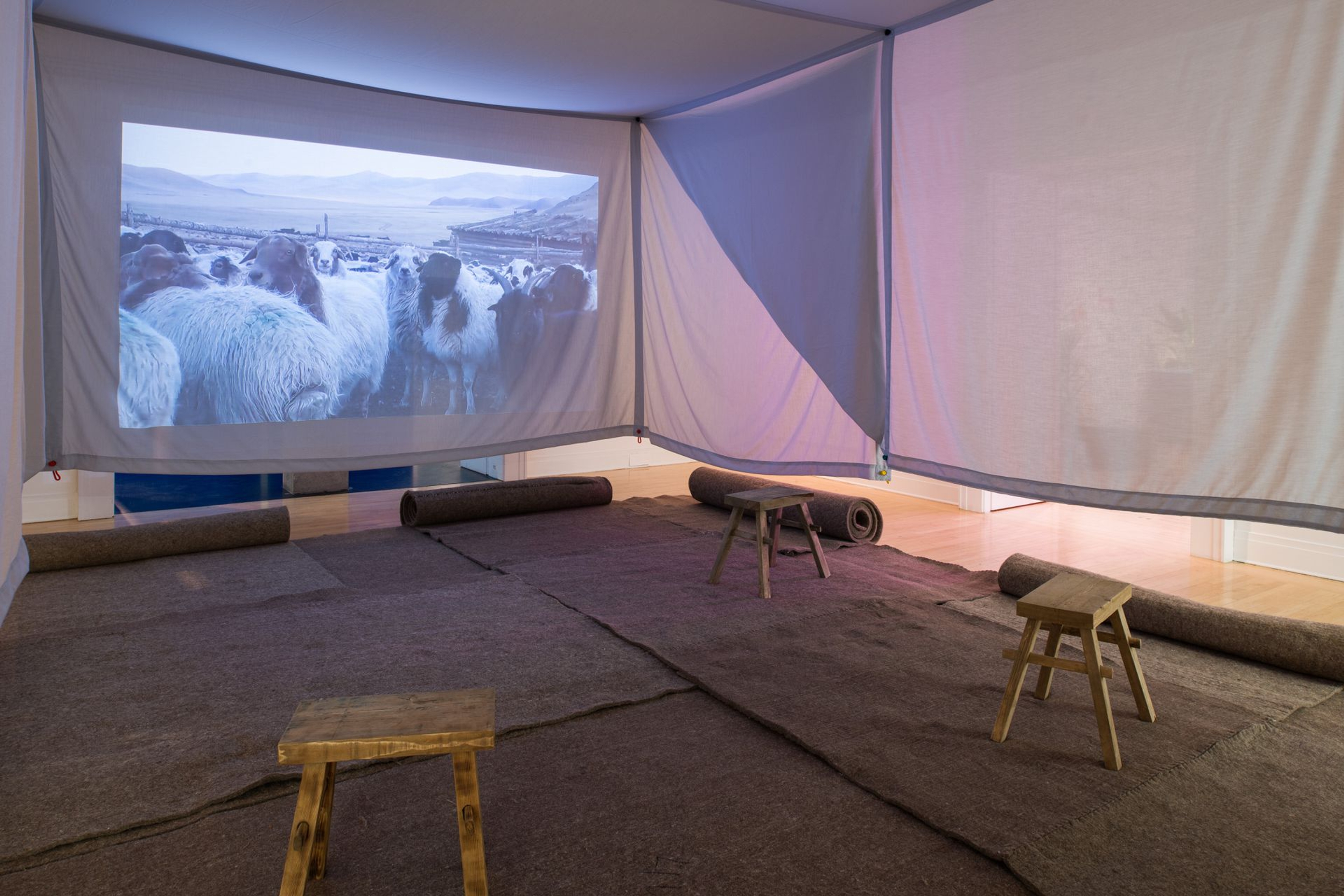 Announcement: Exhibition, The Things Around Us, CCA