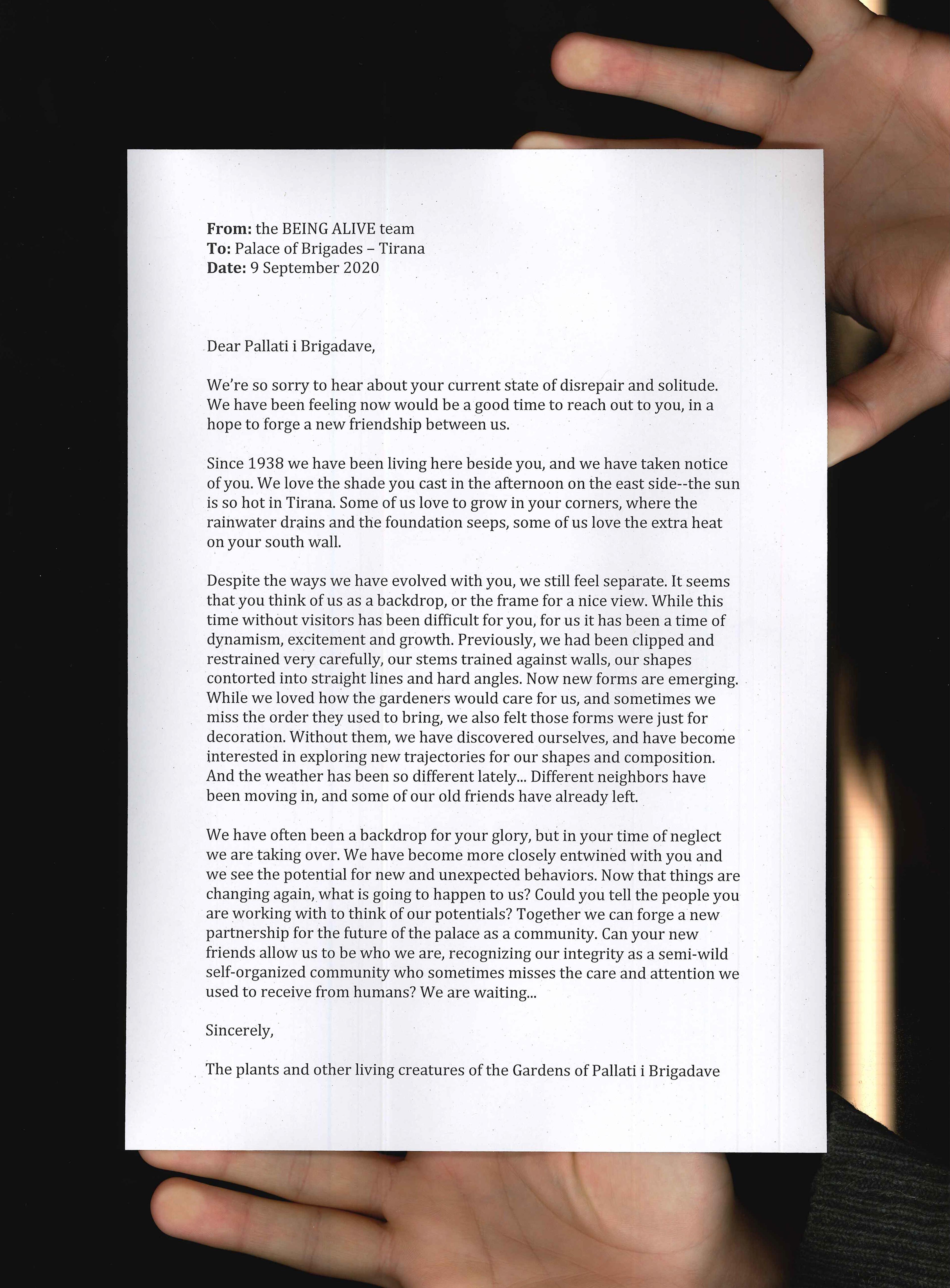 Letter: From the BEING ALIVE team to Palatti i Brigadave