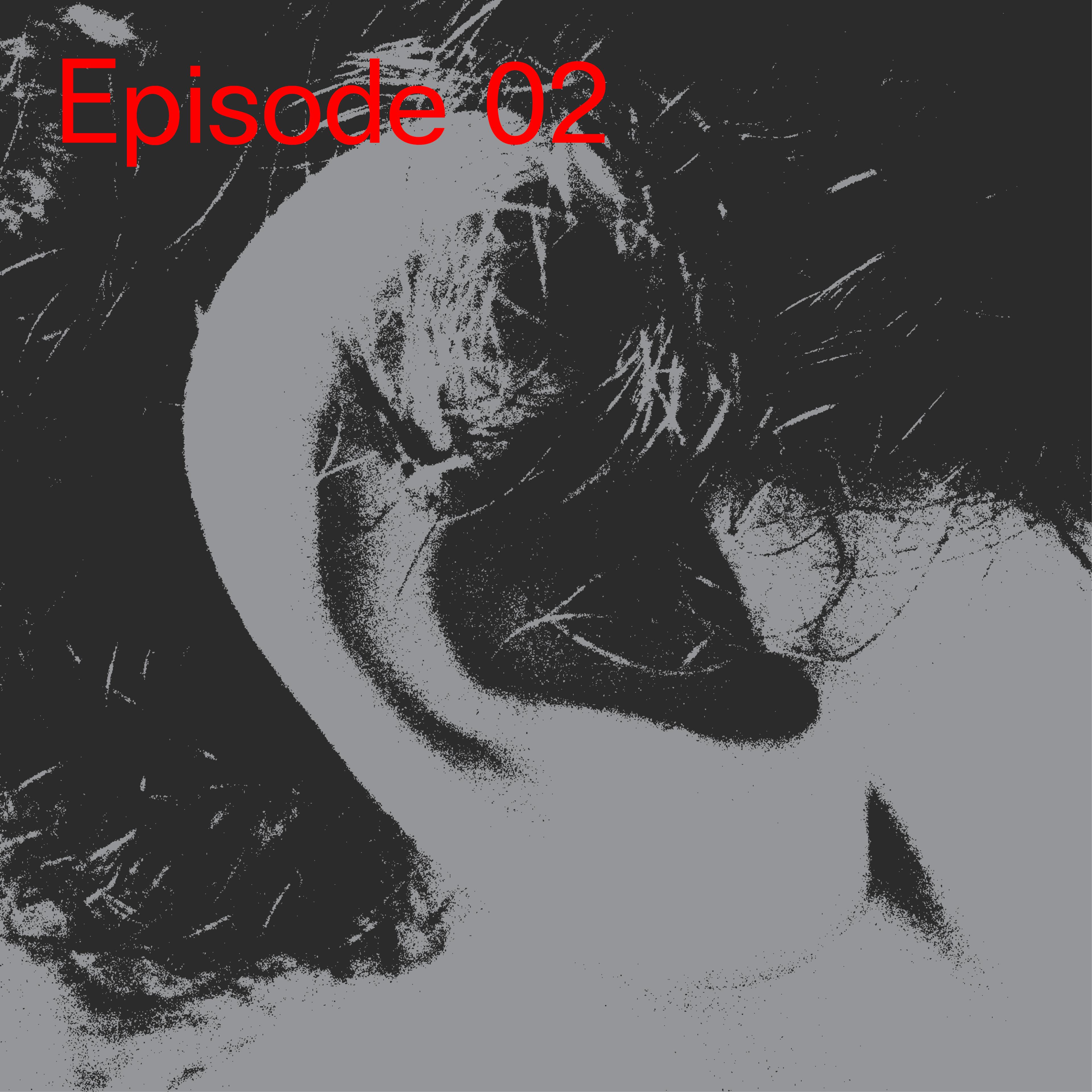 The Sandbox and Architecture - a podcast