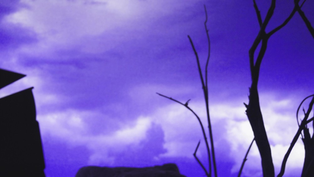 Twilight Sale banner