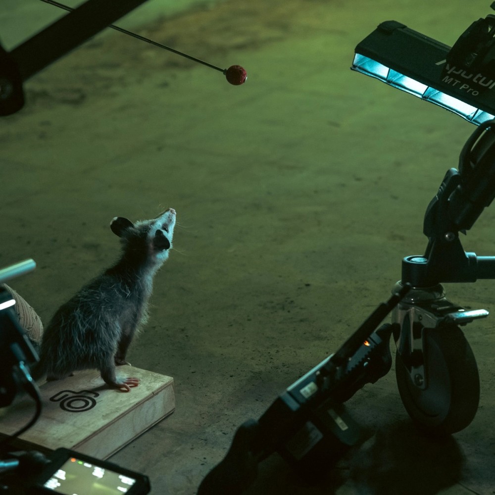 Working with the talent in the hallway, lit with an MT Pro