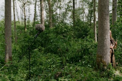 Het verhaal van Vlaanderen