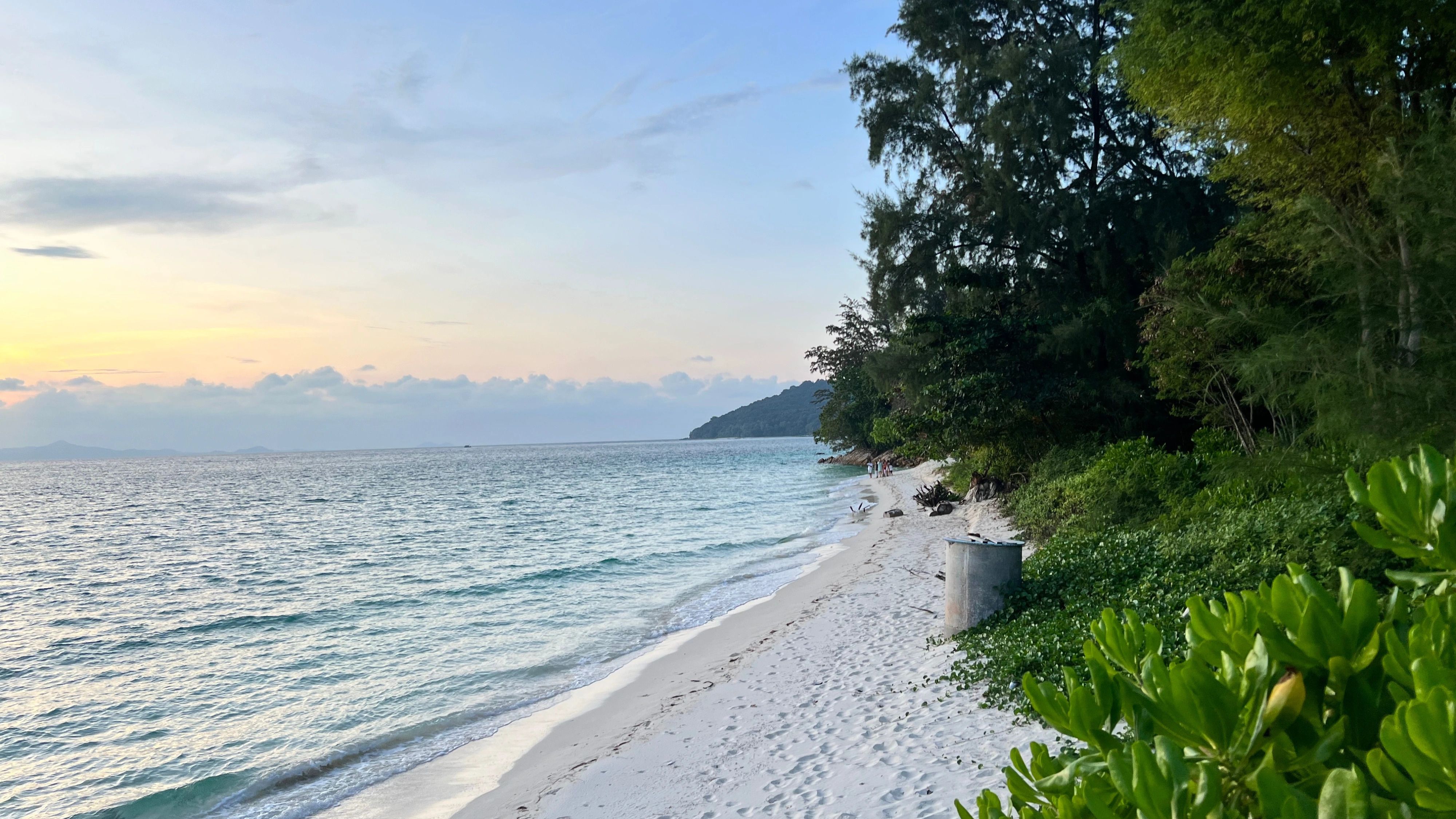 Take Advantage of the Mauritian Diaspora Scheme