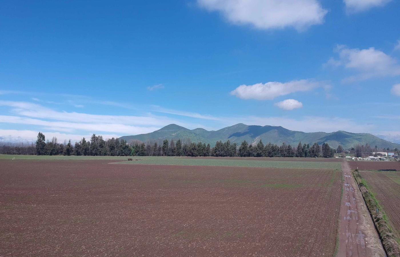 Terrenos interiores, Gran Predio, Calera de Tango