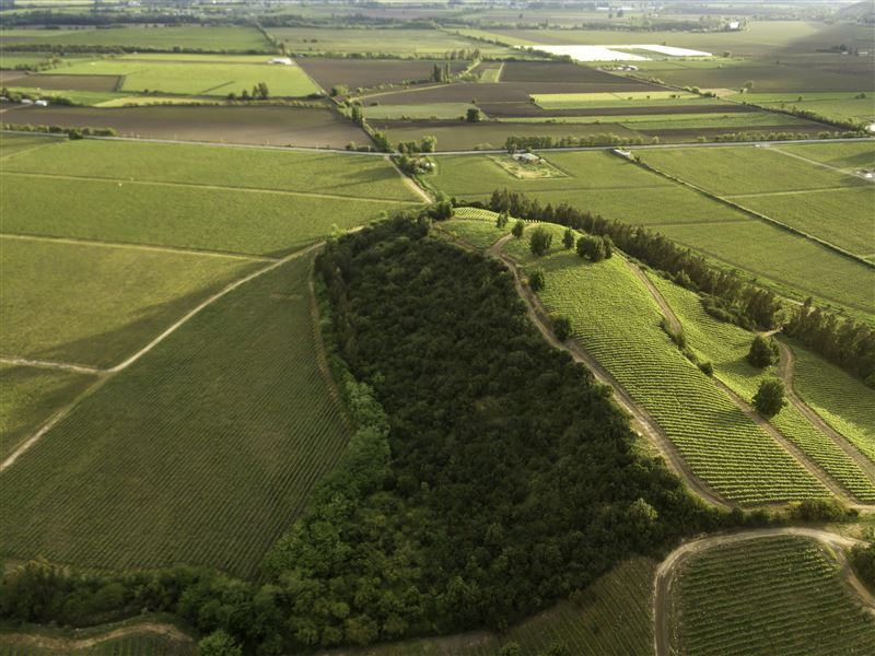 Wine Lots, Fuegos de Apalta, Santa Cruz