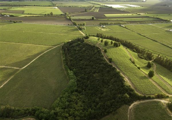 Wine Lots, Fuegos de Apalta, Santa Cruz
