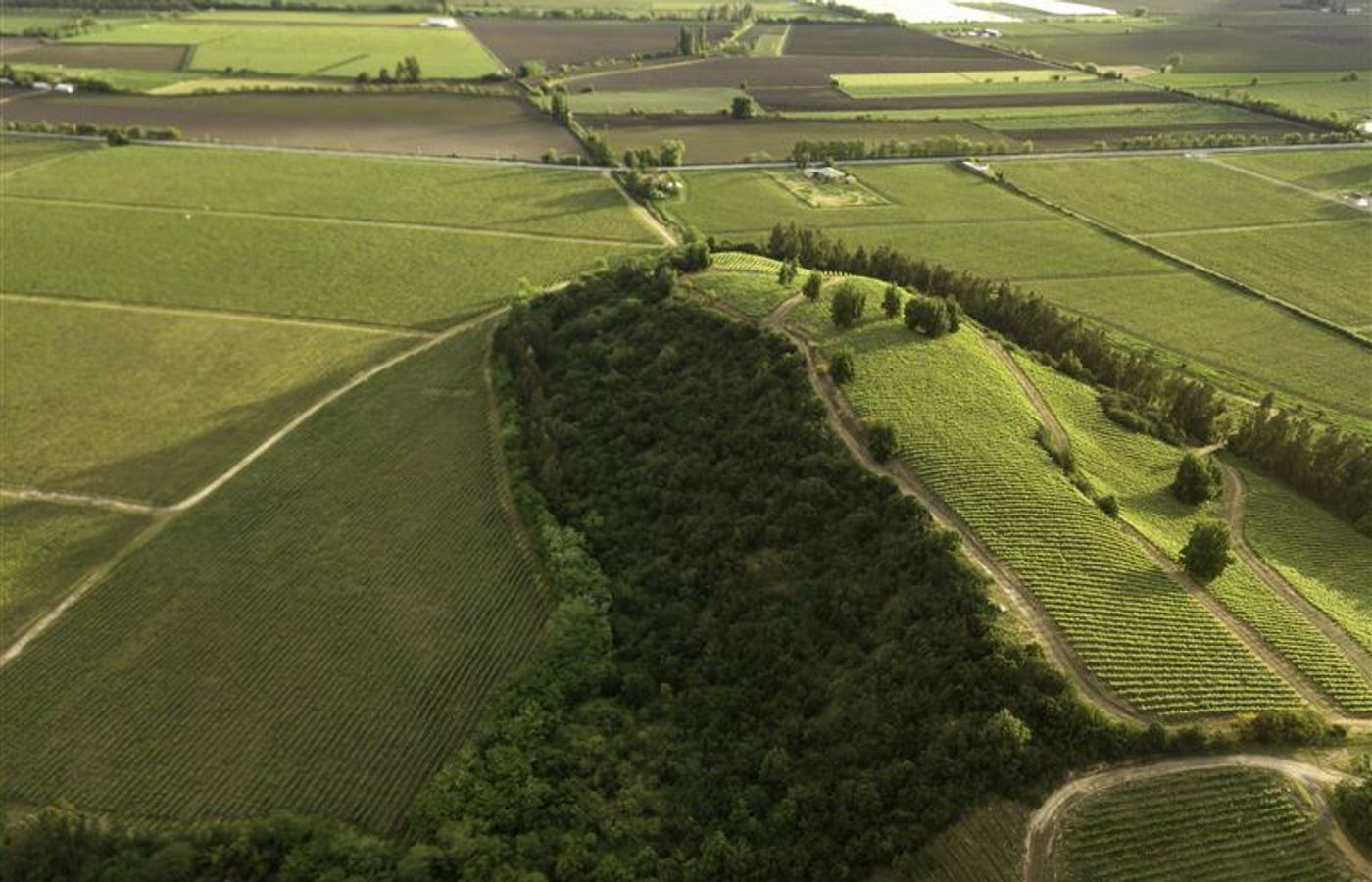 Wine Lots, Fuegos de Apalta, Santa Cruz