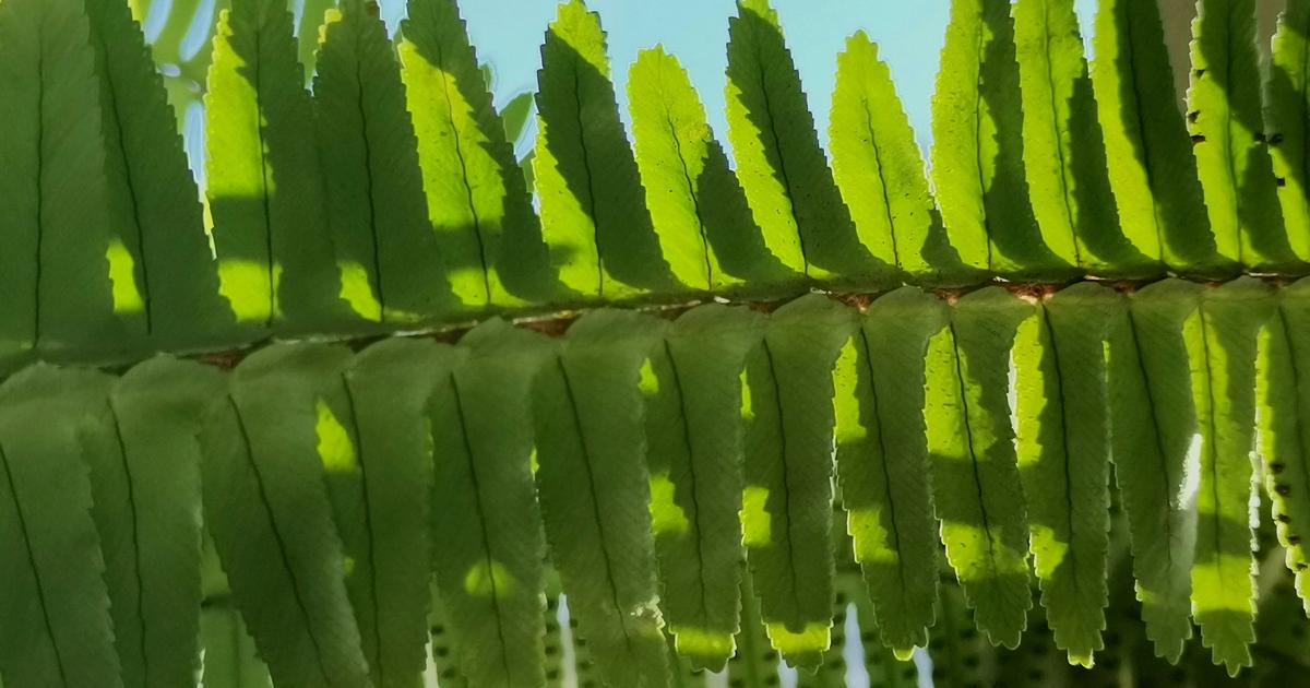 The Perils of Hierarchy Why Your Org Chart Is Killing Innovation RPO