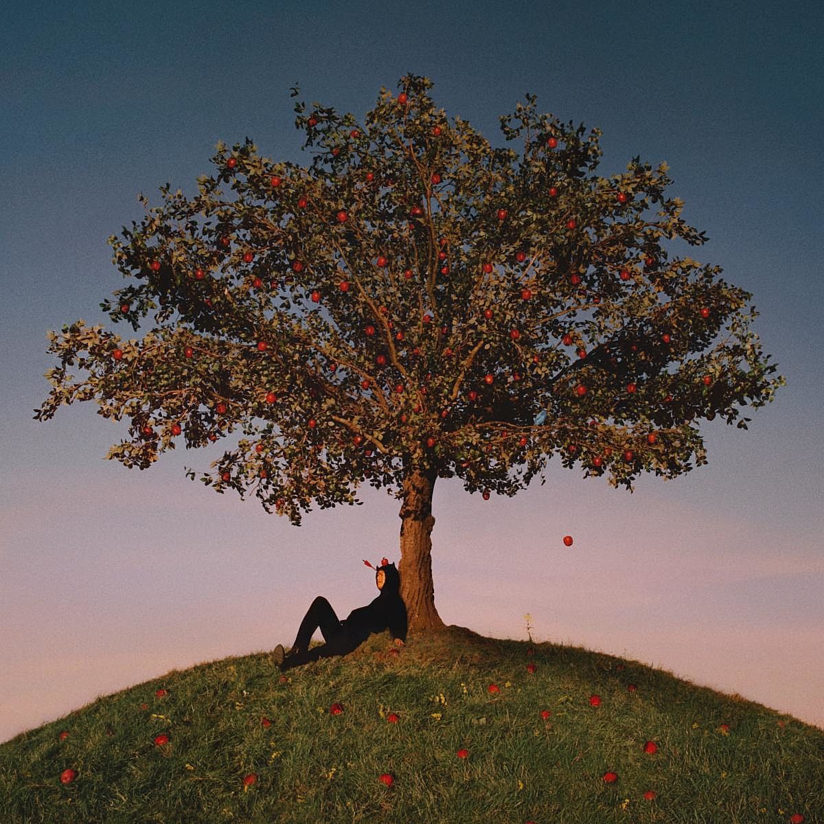 slowthai’s ‘TYRON’ is half angry, half earnest