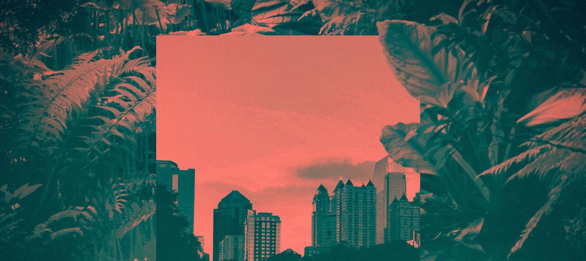 Nubiyan Twist channels multi-cultural influences on ‘Jungle Run’