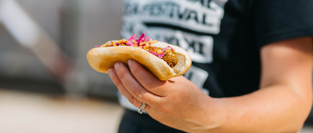 Where Are the Dogs? | Boston Calling 2018