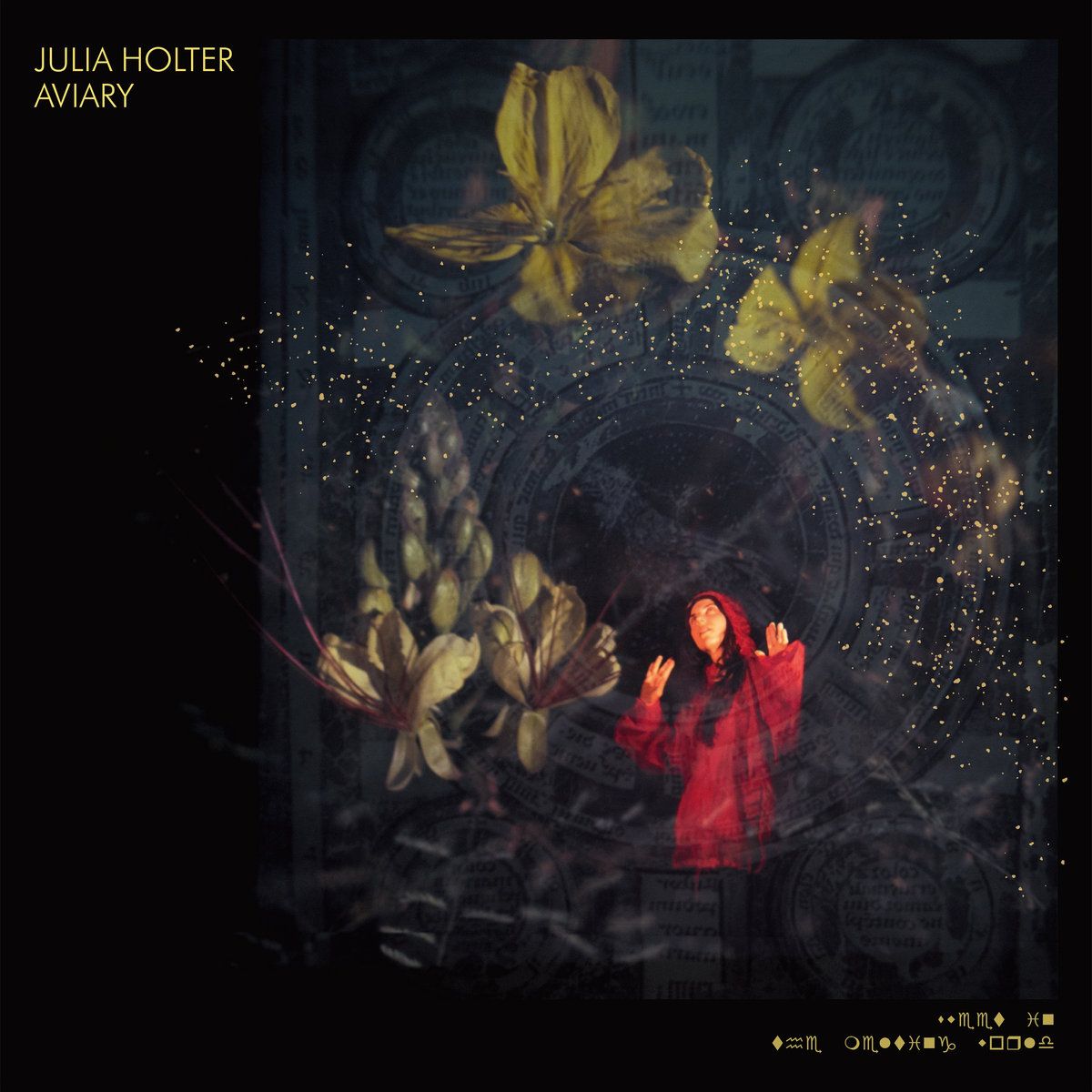 Julia Holter returns to her abstract beginnings on ‘Aviary’
