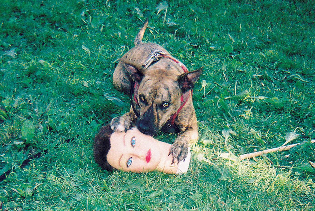 Joyce Manor Releases Full-Length ‘Cody’