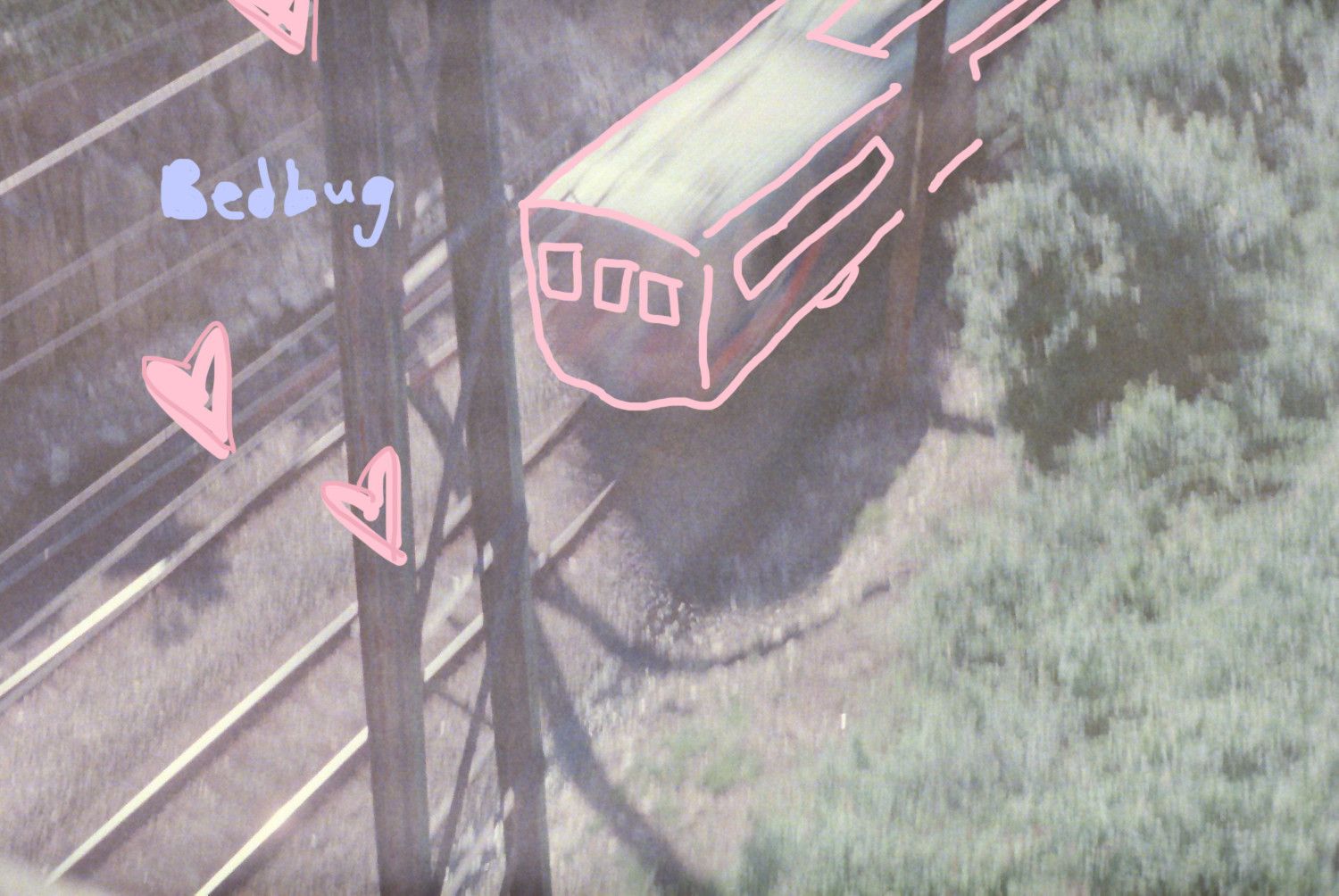 Bedbug Releases Full-Length “if i got smaller grew wings and flew away for good”