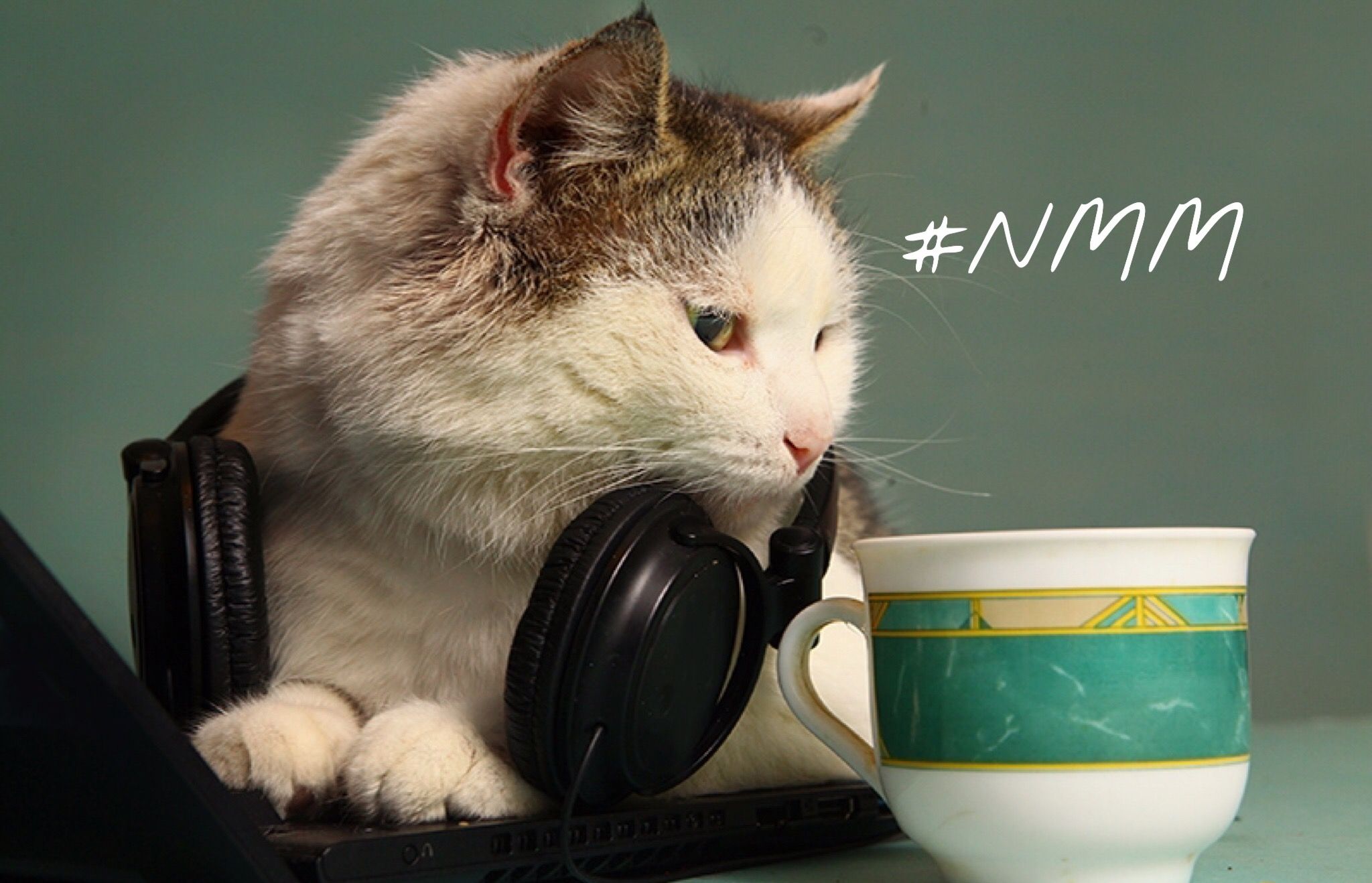 New Music Mondays | 02.19.18