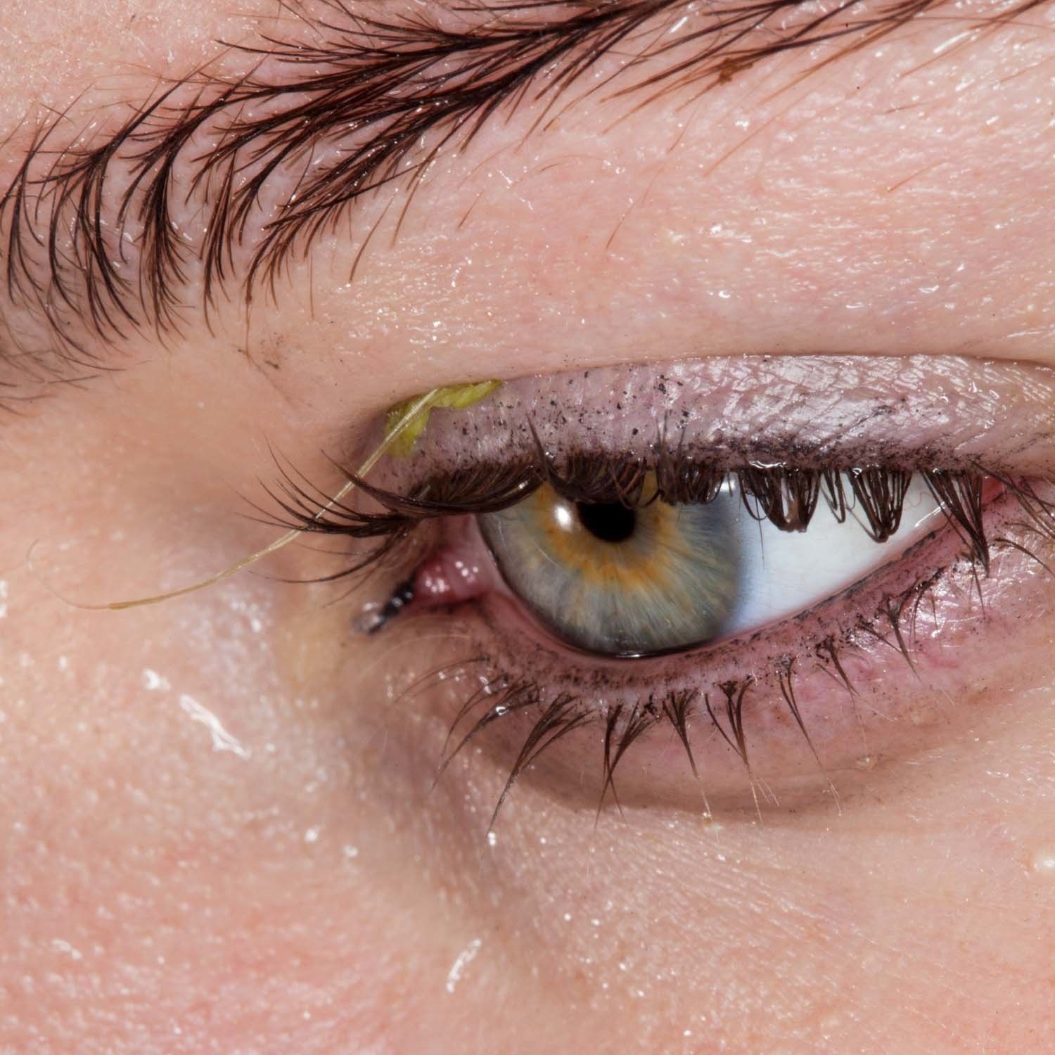 ‘These Elements’ proves Läpsley a strong artist in the industry