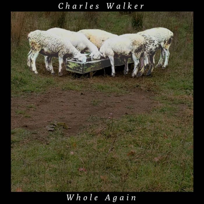 Charles Walker releases EP ‘Whole Again’