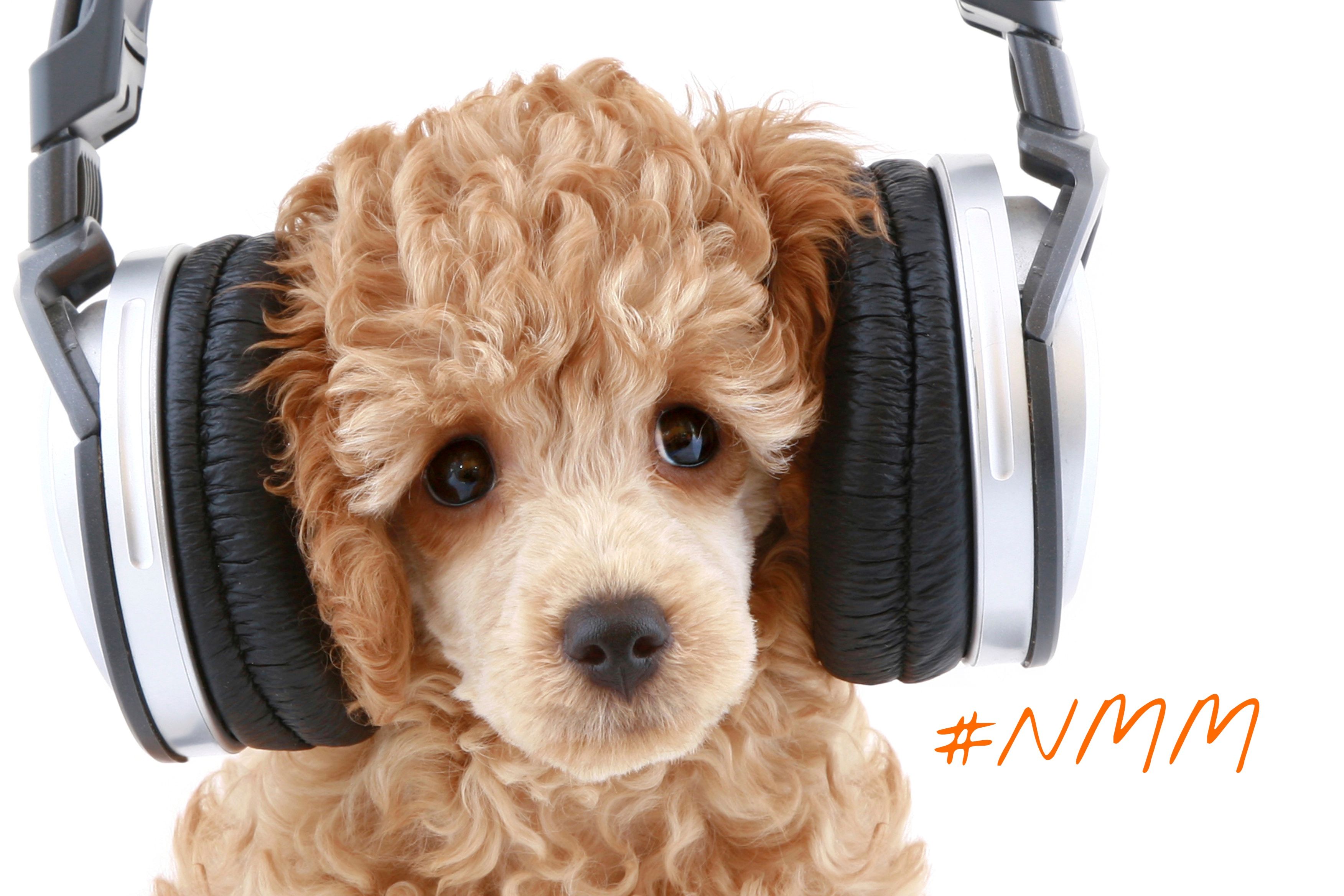 New Music Mondays | 04.09.18