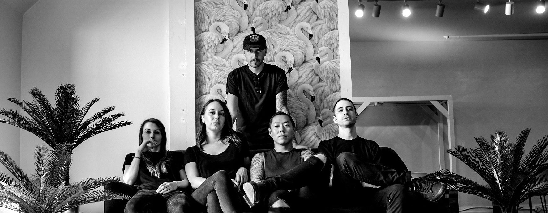 Q&A with The End of the Ocean