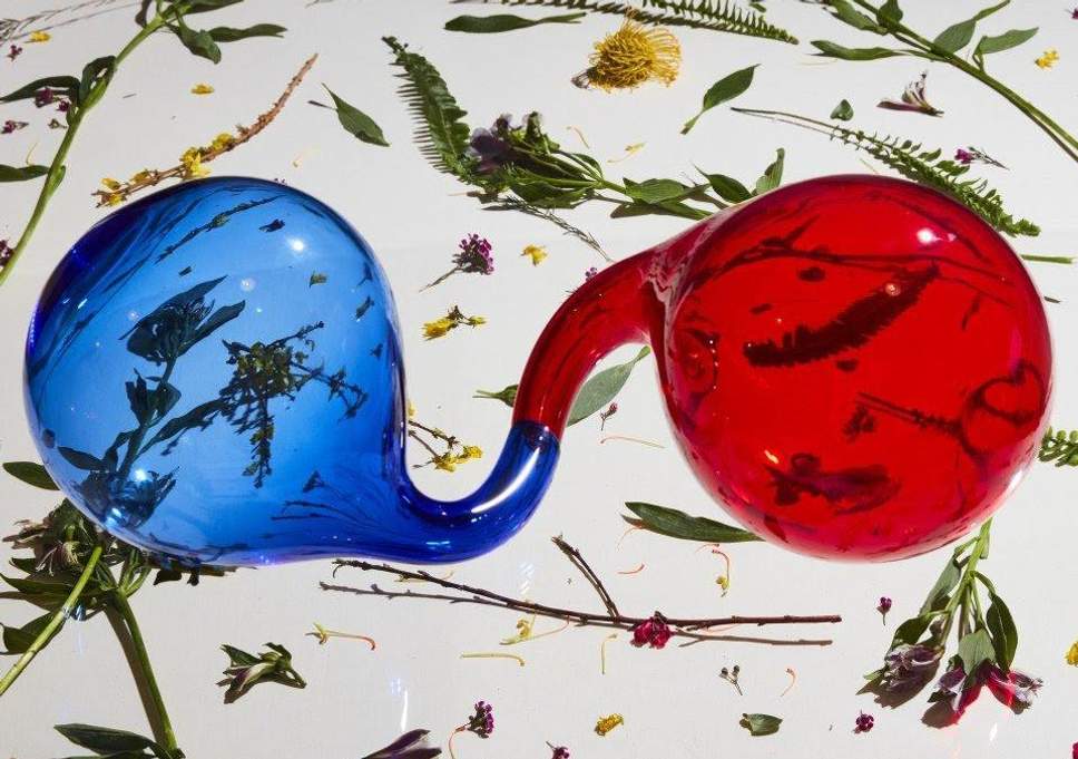 Dirty Projectors release full-length ‘Lamp Lit Prose’