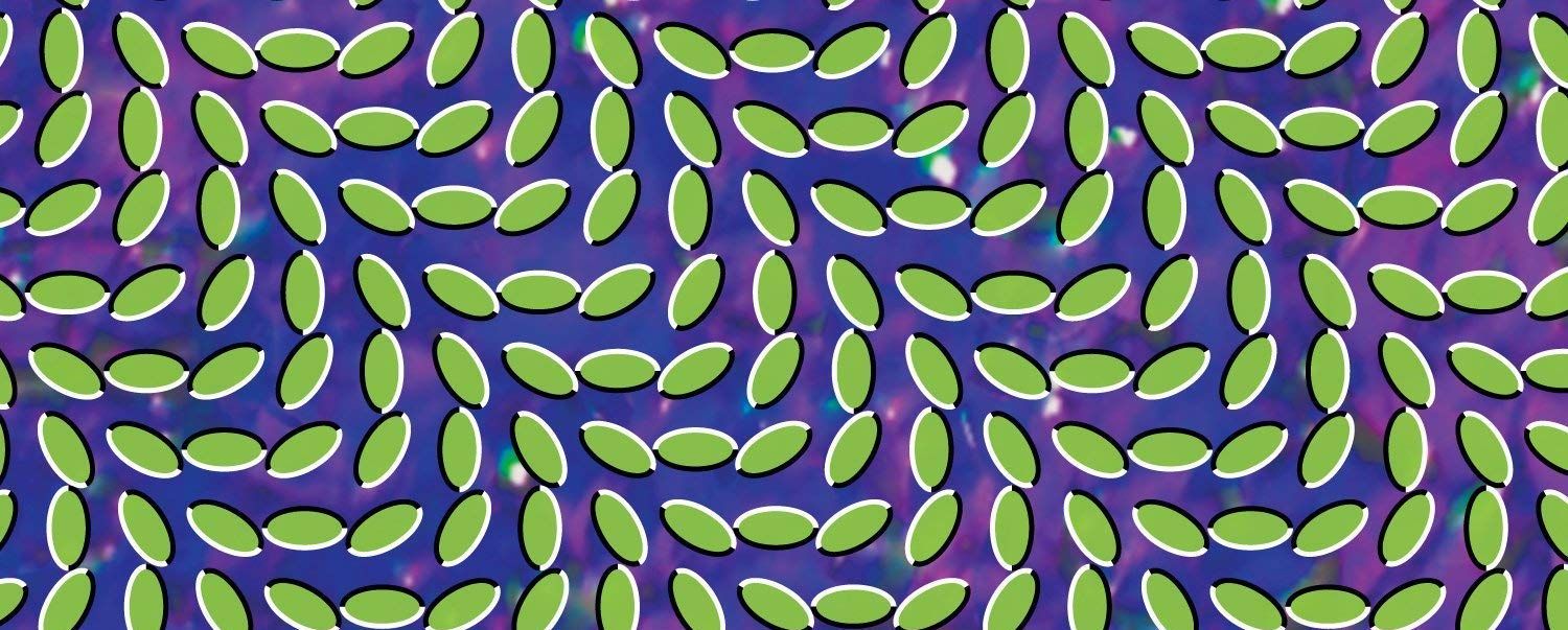 Animal Collective’s ‘Merriweather Post Pavilion’ Turns 10