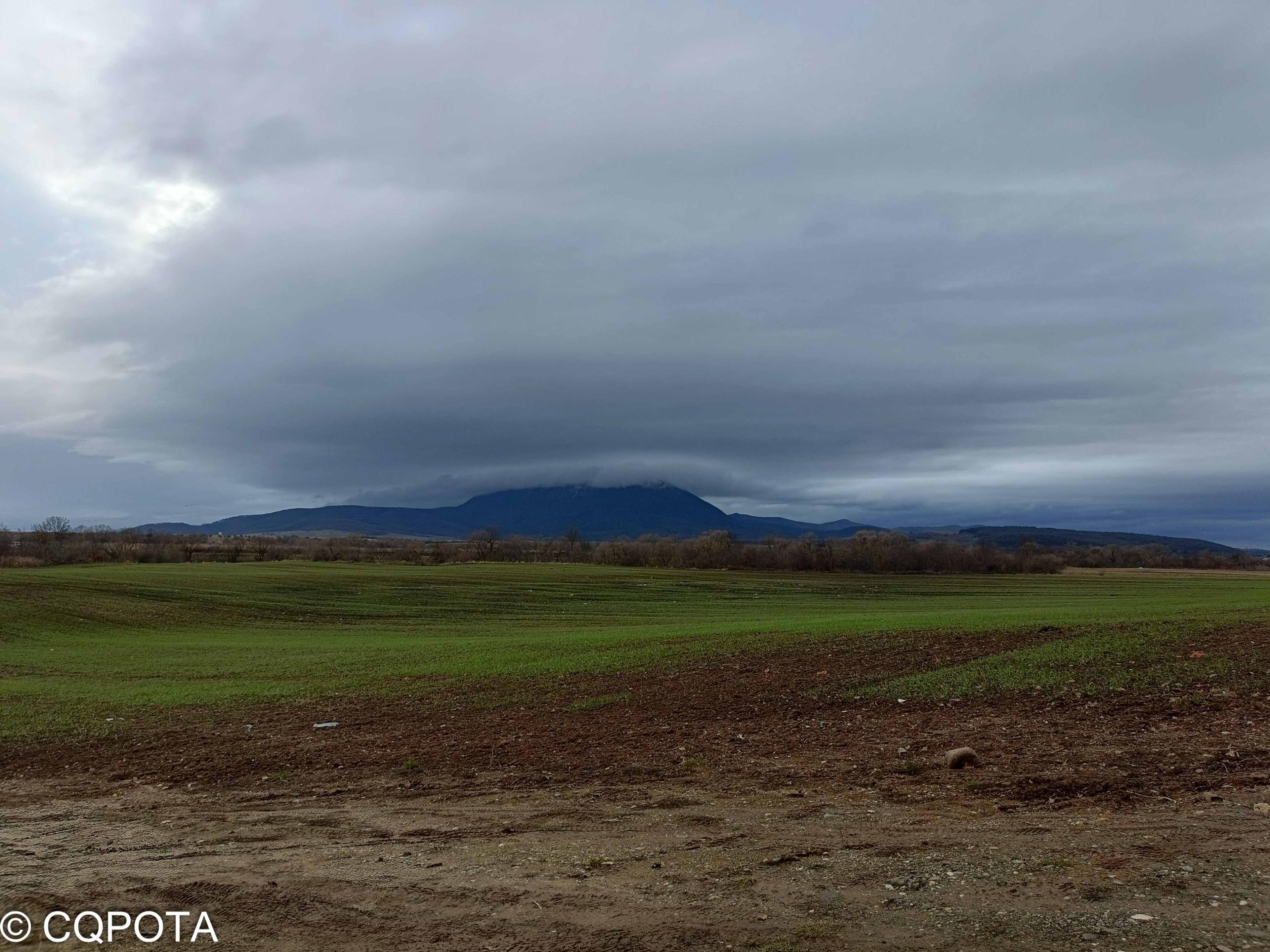 Măgura Codlei Natura 2000