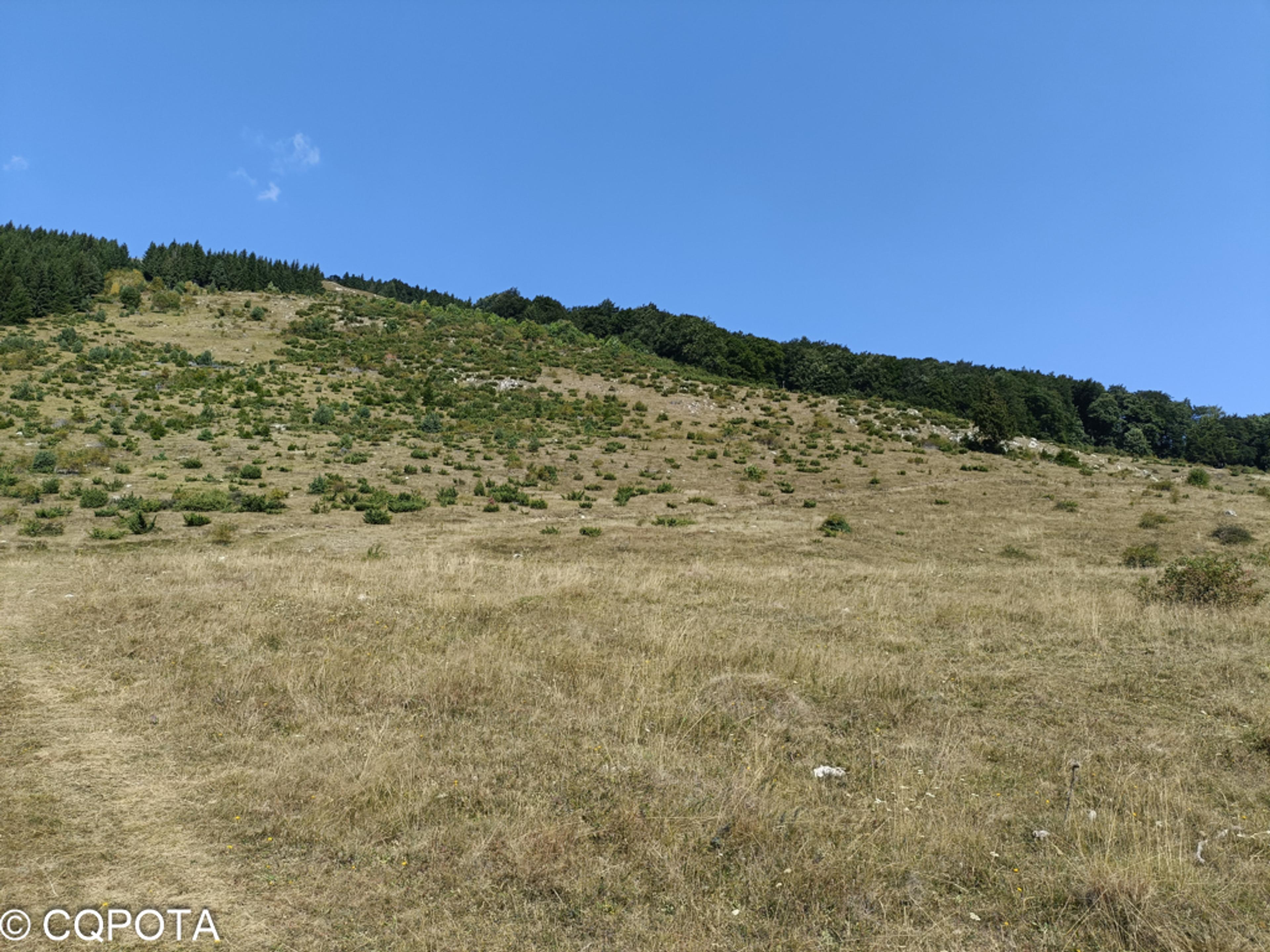 Piatra Dragoslavelor