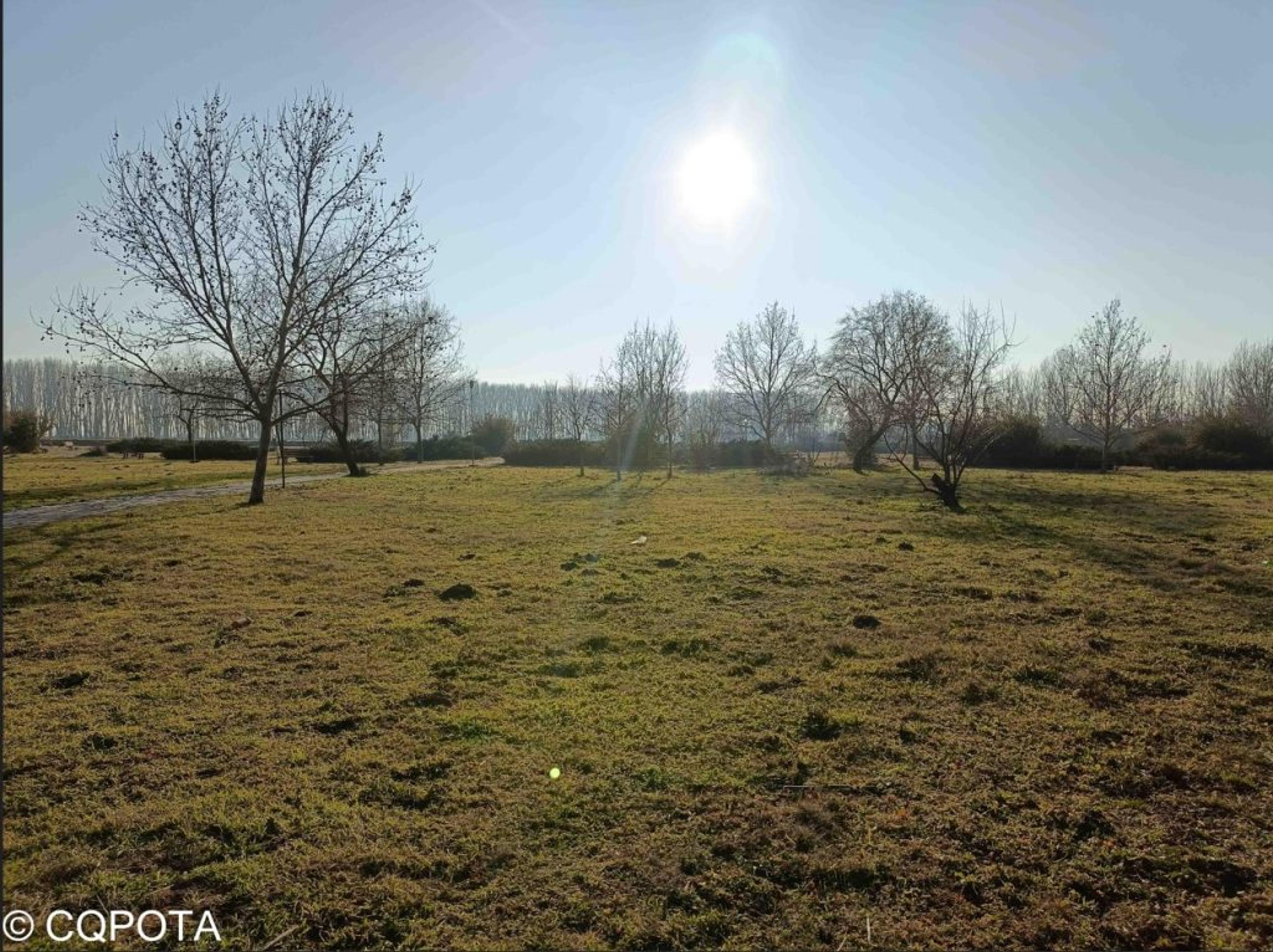 Parcul Tonea Modelu