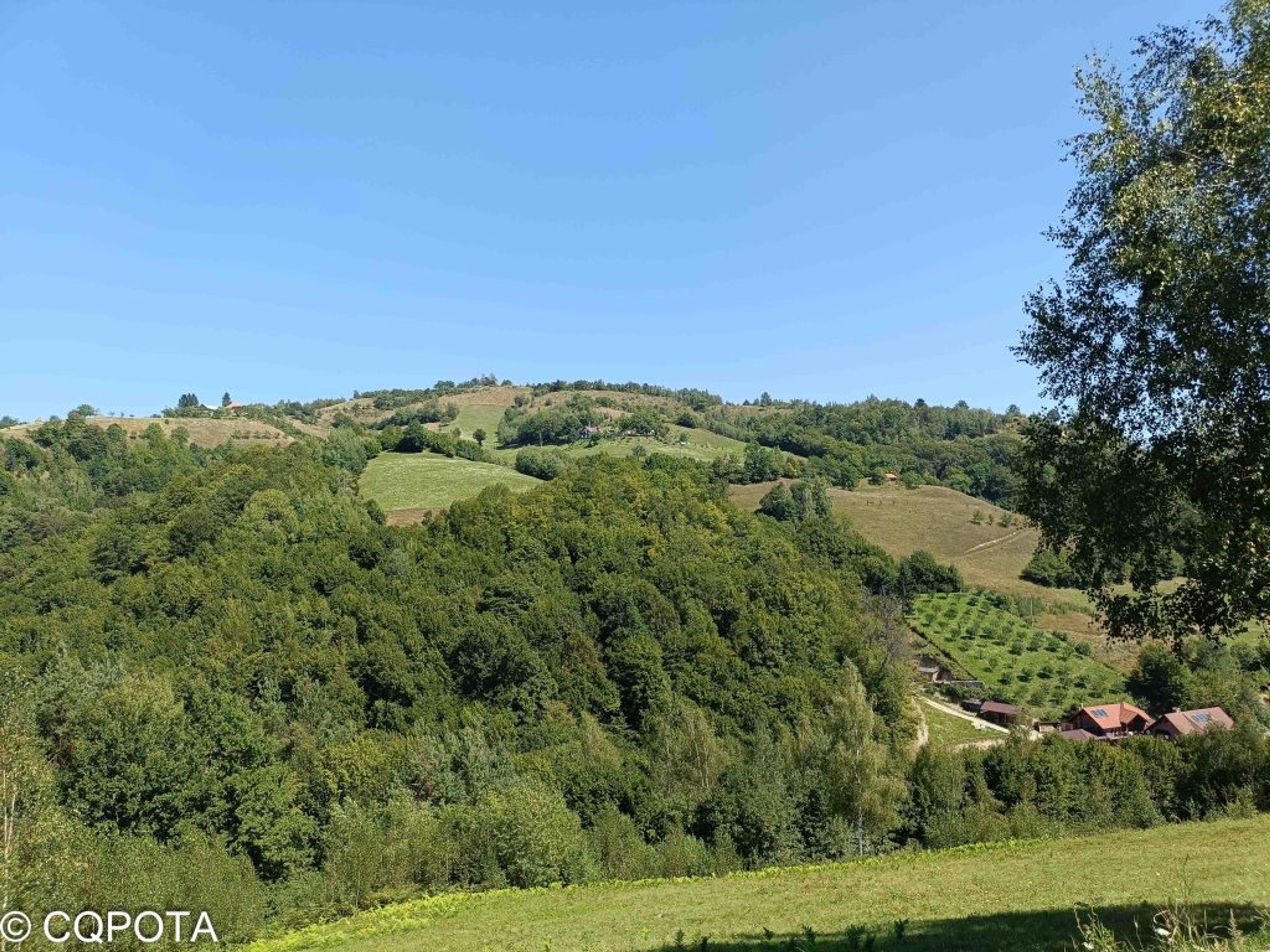 Poiana Mărului
