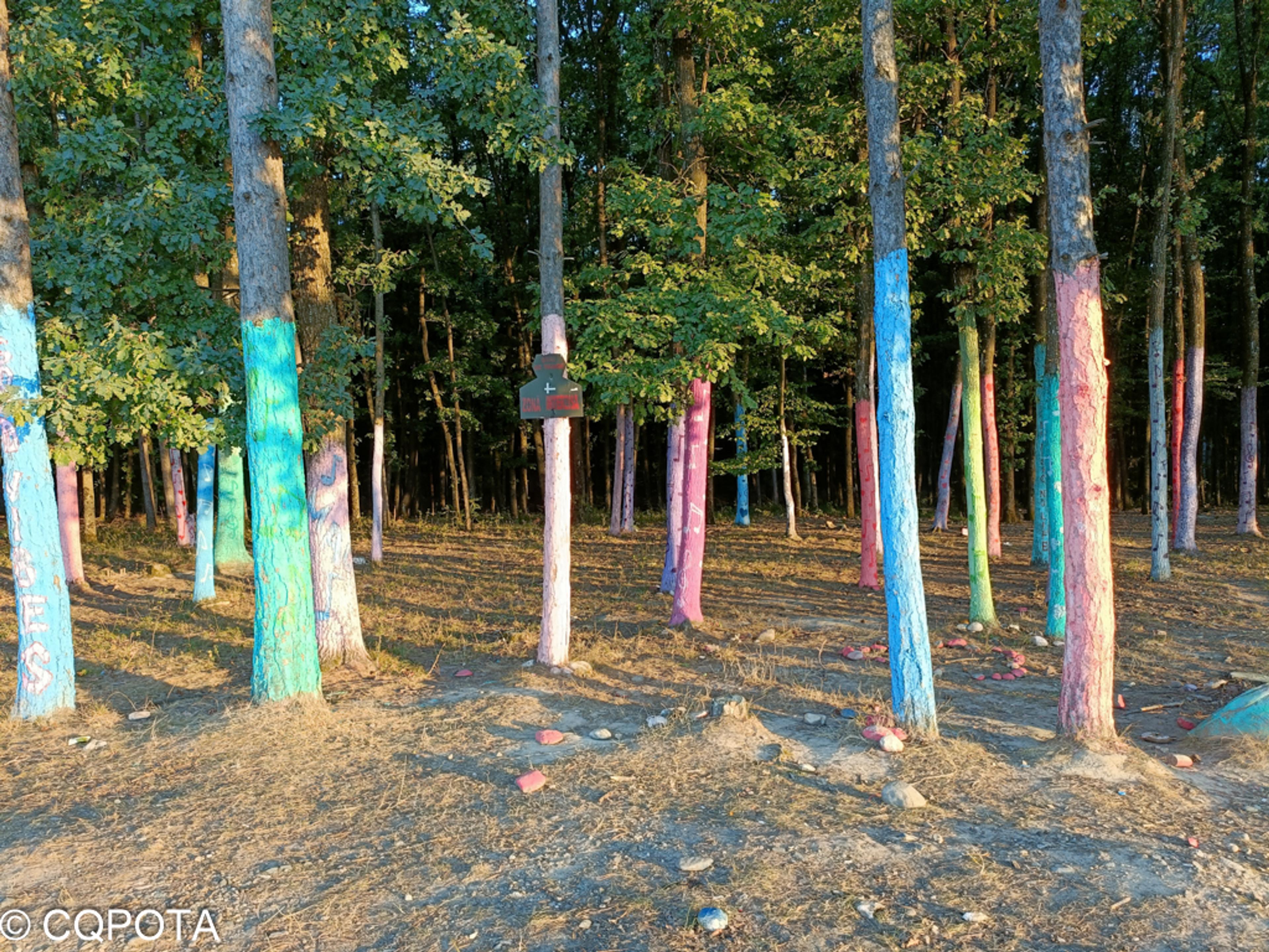 Pădurea colorată Râmnicu Vâlcea