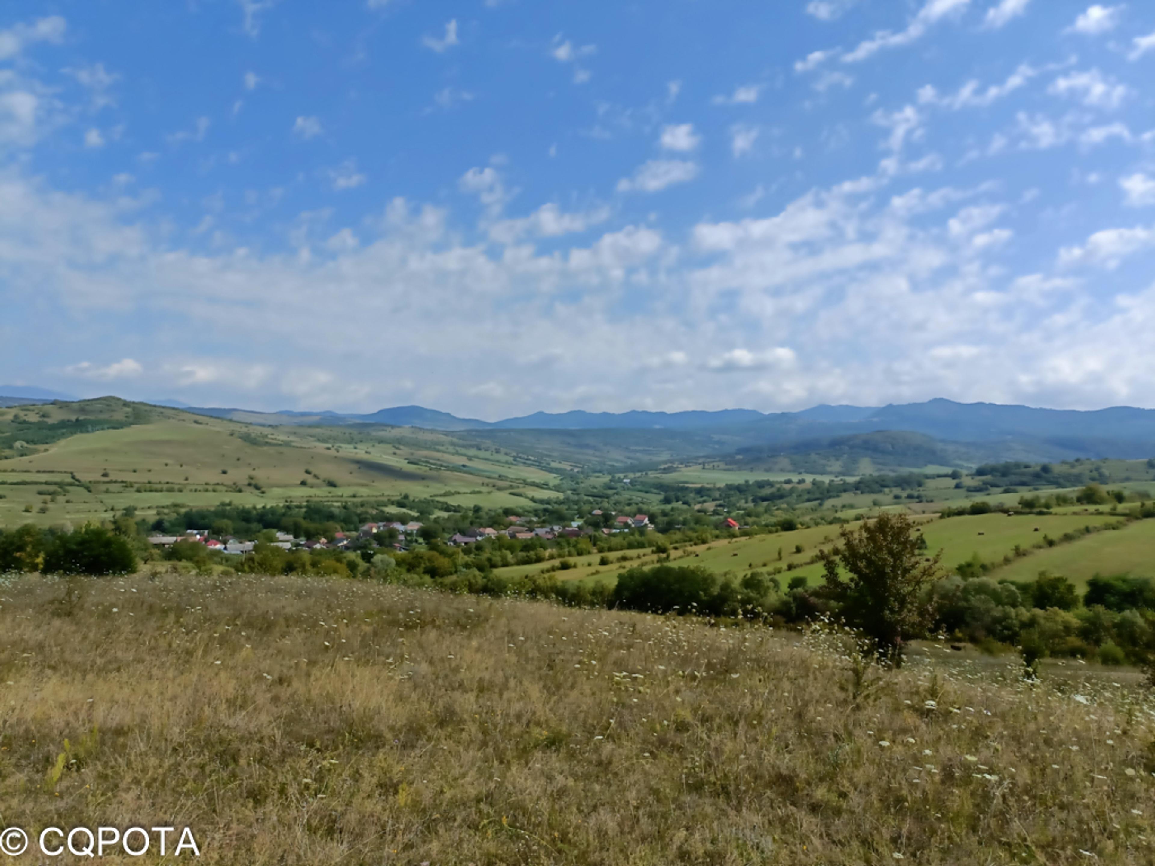 Biserica de lemn din Petriș
