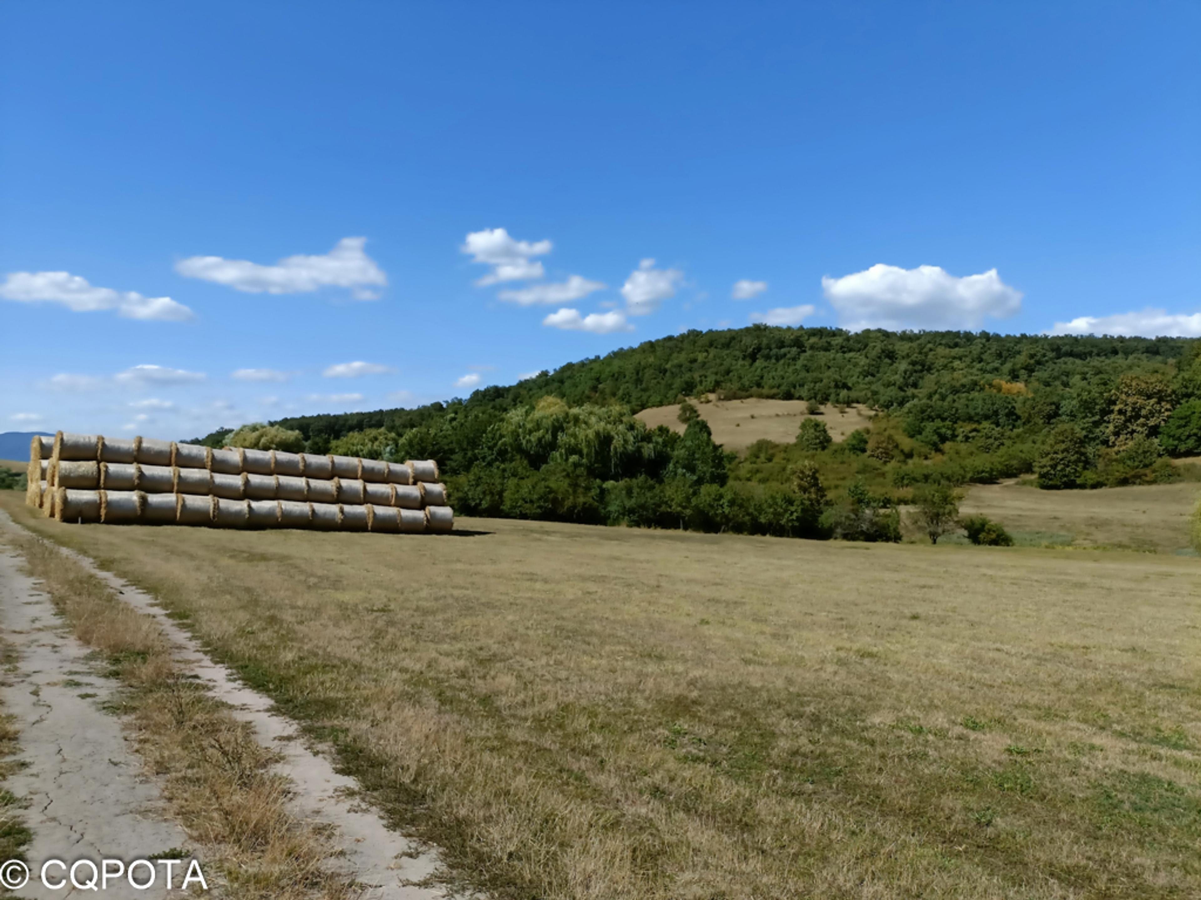 Belvedere Sebeș