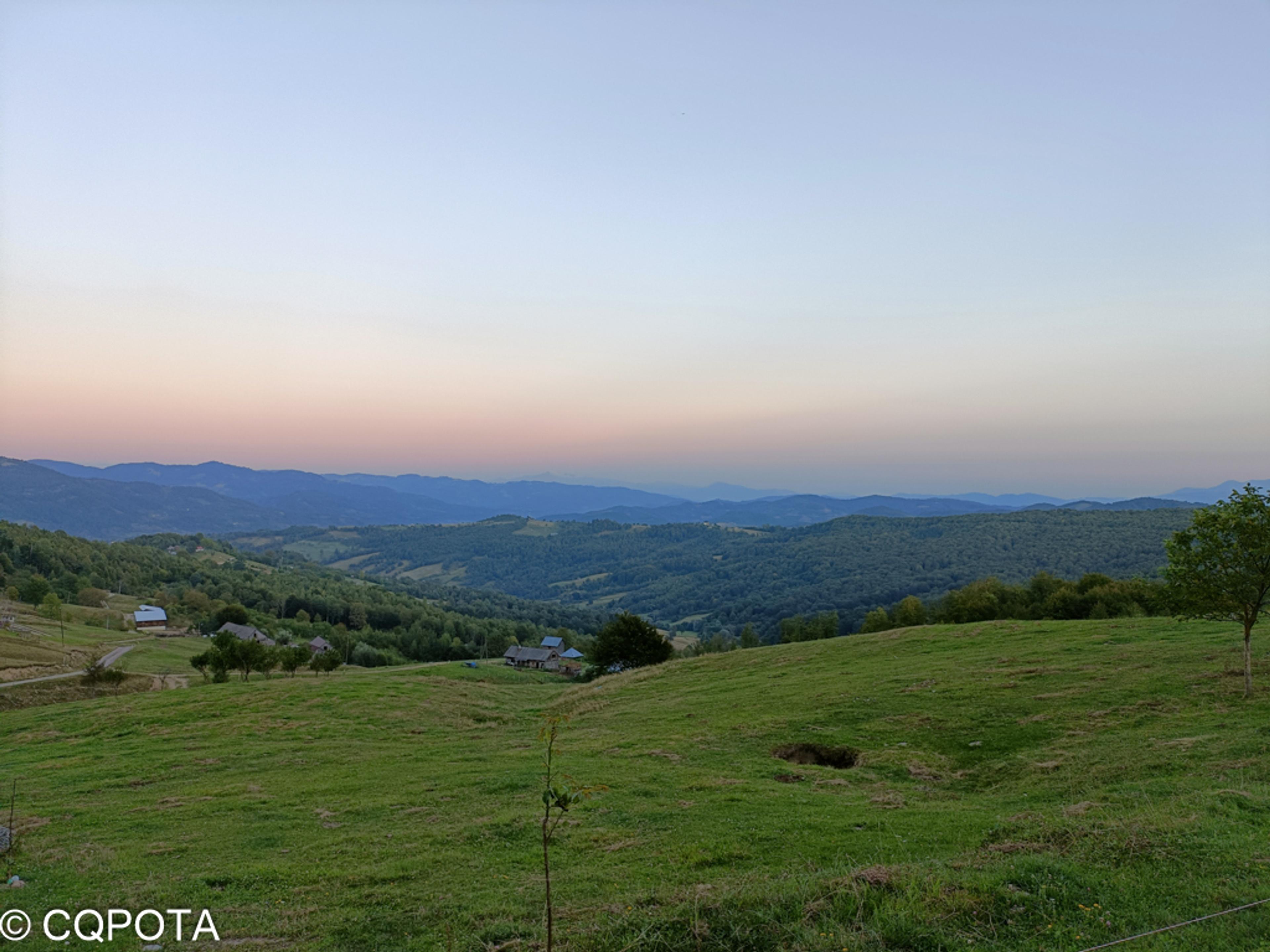 Pădurea Ronișoara